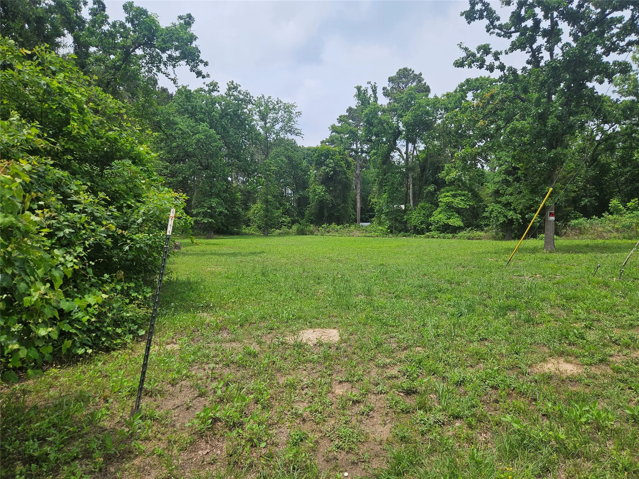 Unimproved Land For Sale in Cherokee County , 376 Elizabeth Drive, Bullard, Texas 75757, 0, 0, Garage spaces, 0 Sqft, built in 0, mls#21251377, Real Estate Agent in Bullard, Homes For Sale in Cherokee county, Homes For Sale in Bullard, Realtor in Bullard Texas, Real Estate Brokerage Independent Realty Texas, Luminita Cordes Realtor