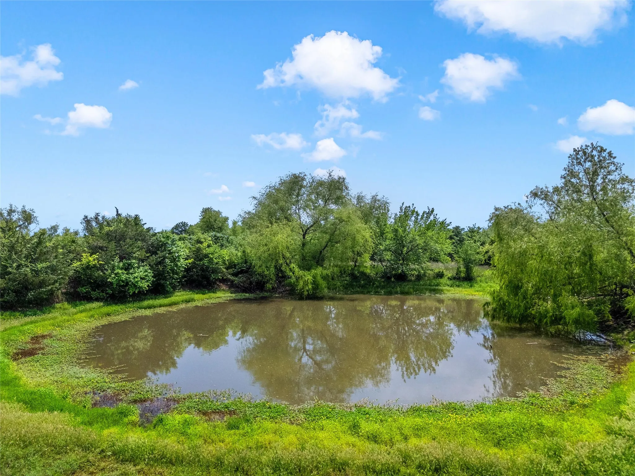 Single Family Residence For Sale in Mc Lennan County , 1692 W Tate Street, Robinson, Texas 76706, 5 Bedroom, 3 Bathroom, 4 Garage spaces, 2,341 Sqft, built in 1995, mls#21247945, Real Estate Agent in Robinson, Homes For Sale in Mc Lennan county, Homes For Sale in Robinson, Realtor in Robinson Texas, Real Estate Brokerage Independent Realty Texas, Luminita Cordes Realtor