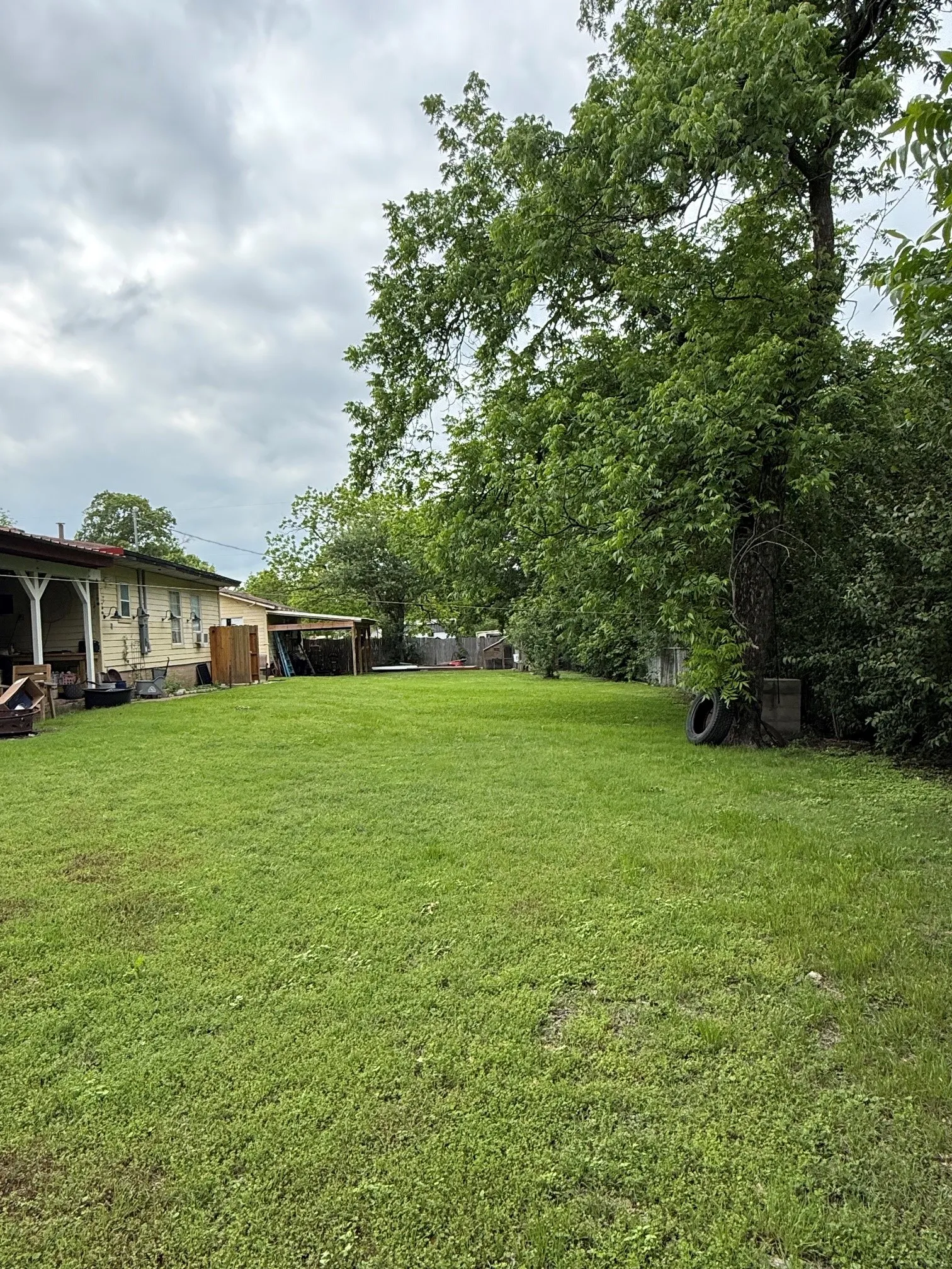 Backyard