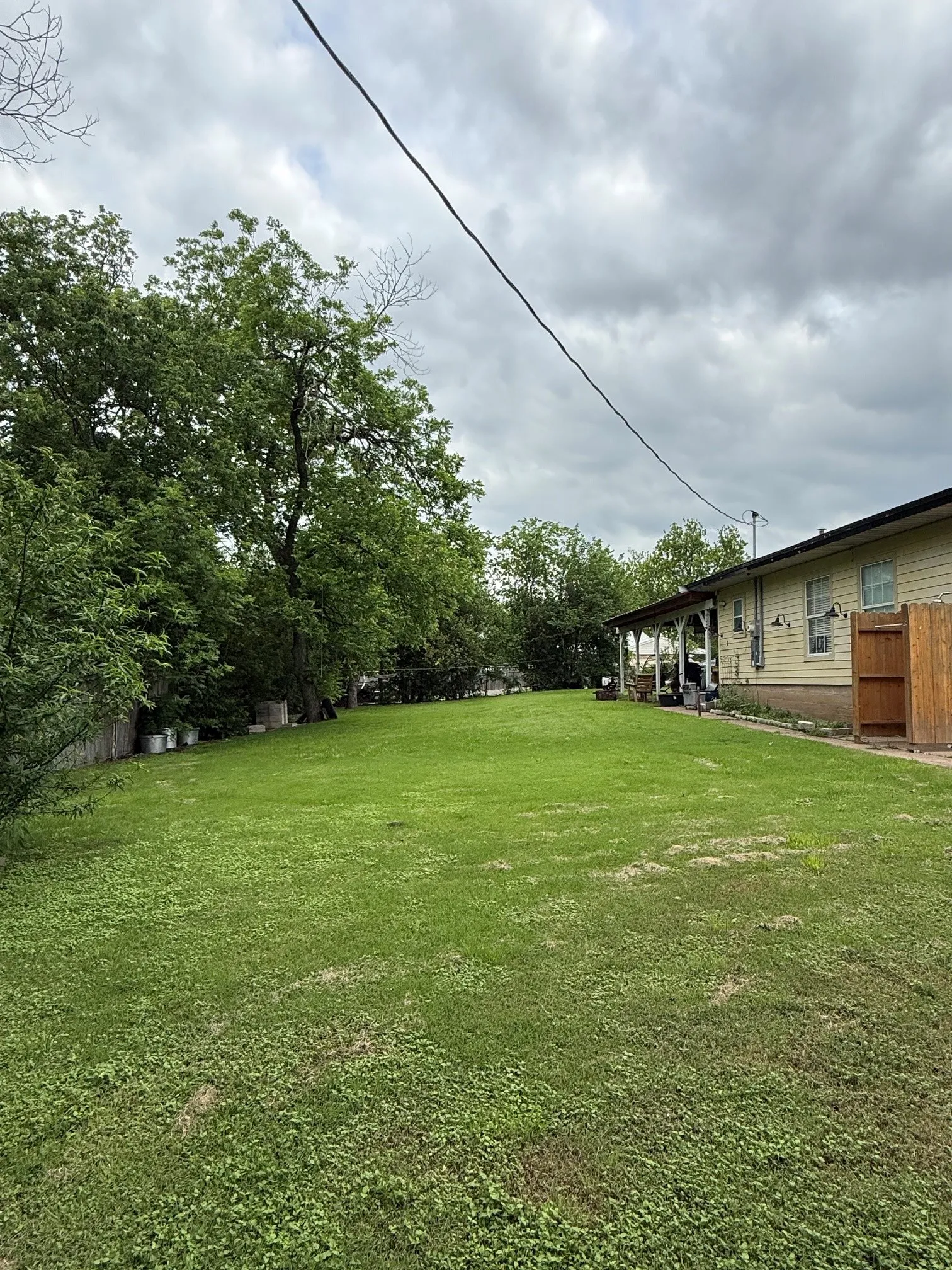Backyard