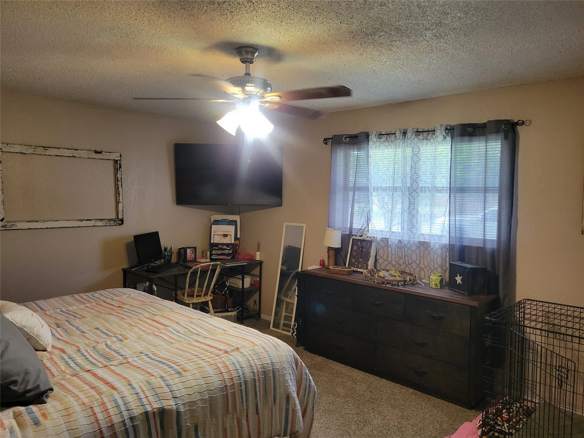 Carpeted room with a ceiling fan light fixture, mounted television, and window with blinds and curtains