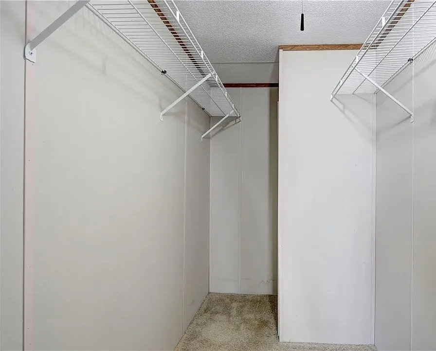 Walk-in closet featuring wire shelving, wire hanging rods, light-colored panel walls, and carpet flooring