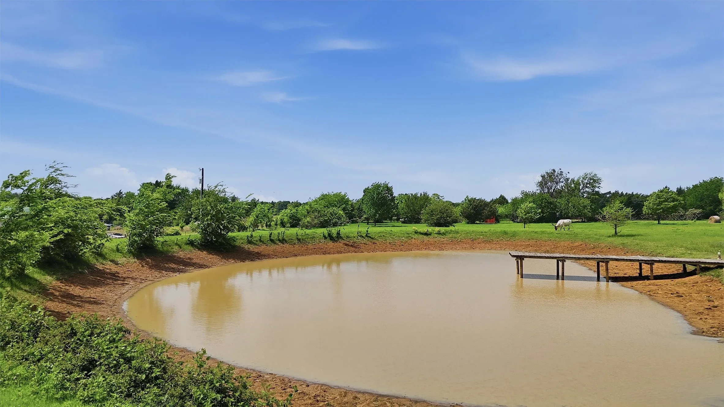 Improved Land For Sale in Grayson County , 13.65 Ac. Keefer Road, Pottsboro, Texas 75076, 0, 0, Garage spaces, 0 Sqft, built in 2007, Price $940,000, mls#21250525, Real Estate Agent in Pottsboro, Homes For Sale in Grayson county, Homes For Sale in Pottsboro, Realtor in Pottsboro Texas, Real Estate Brokerage Independent Realty Texas, Luminita Cordes Realtor