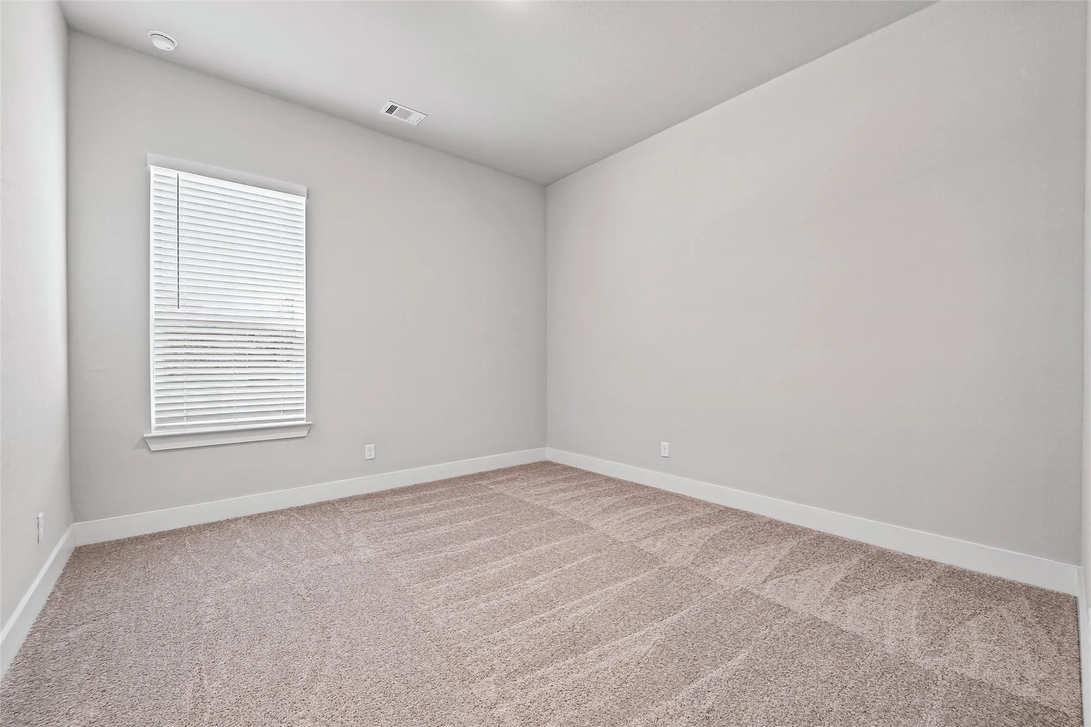 Neutral tone wall paint, flush mount ceiling lighting, window with blinds, and plush carpet flooring