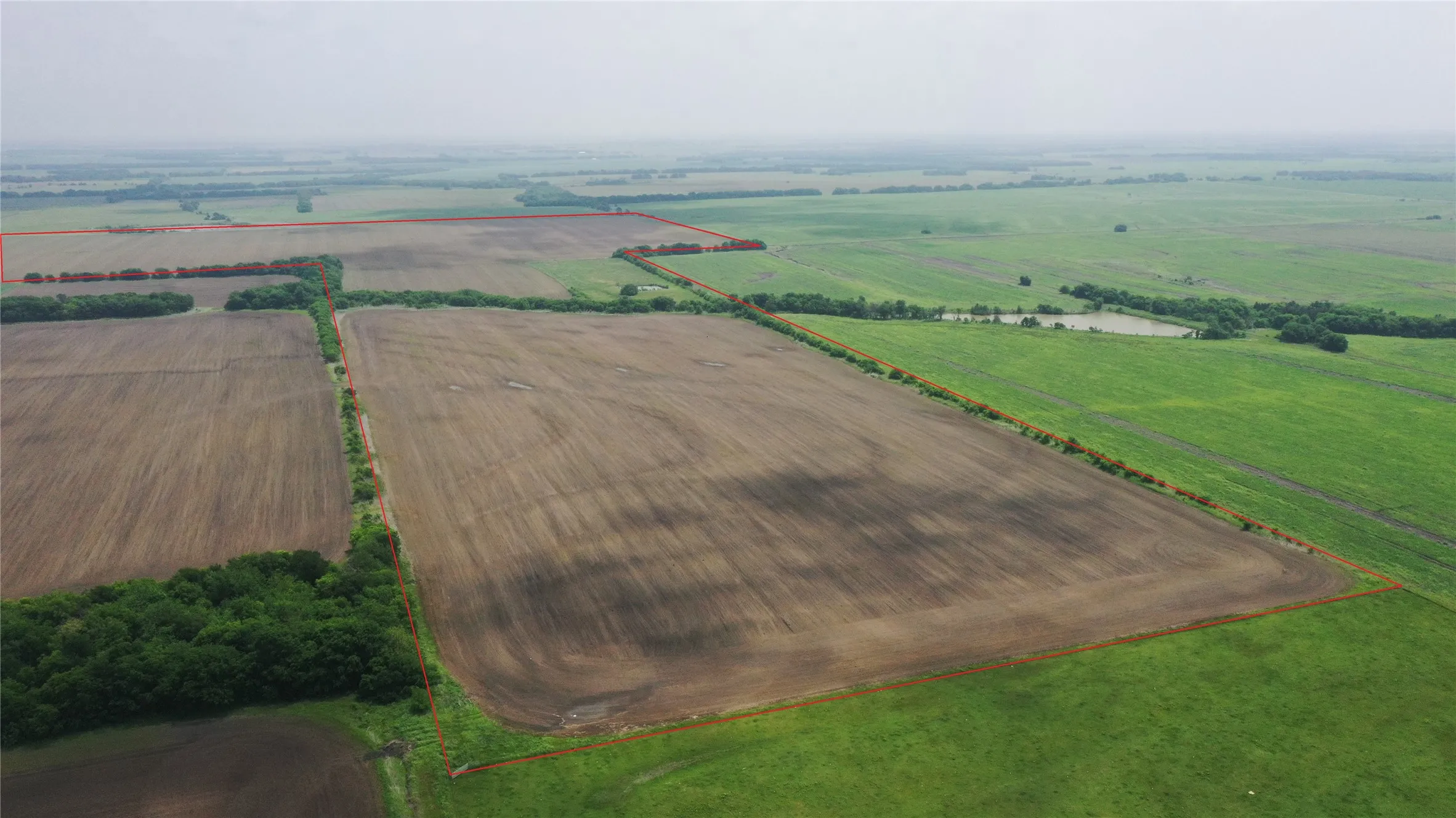 Unimproved Land For Sale in Delta County , TBD Fm 64, Pecan Gap, Texas 75469, 0, 0, Garage spaces, 0 Sqft, built in 0, mls#21251798, Real Estate Agent in Pecan Gap, Homes For Sale in Delta county, Homes For Sale in Pecan Gap, Realtor in Pecan Gap Texas, Real Estate Brokerage Independent Realty Texas, Luminita Cordes Realtor