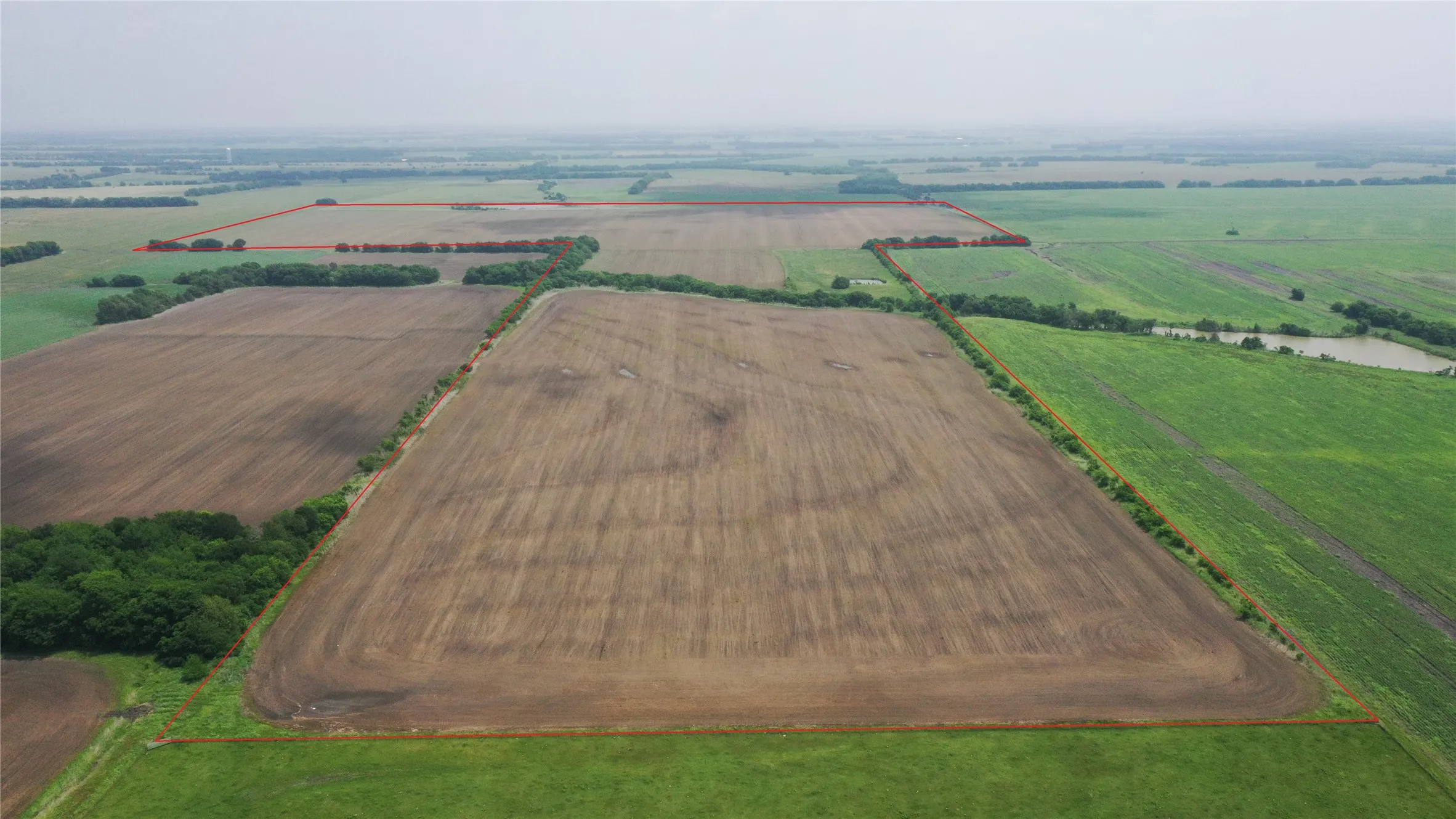 Unimproved Land For Sale in Delta County , TBD Fm 64, Pecan Gap, Texas 75469, 0, 0, Garage spaces, 0 Sqft, built in 0, mls#21251798, Real Estate Agent in Pecan Gap, Homes For Sale in Delta county, Homes For Sale in Pecan Gap, Realtor in Pecan Gap Texas, Real Estate Brokerage Independent Realty Texas, Luminita Cordes Realtor