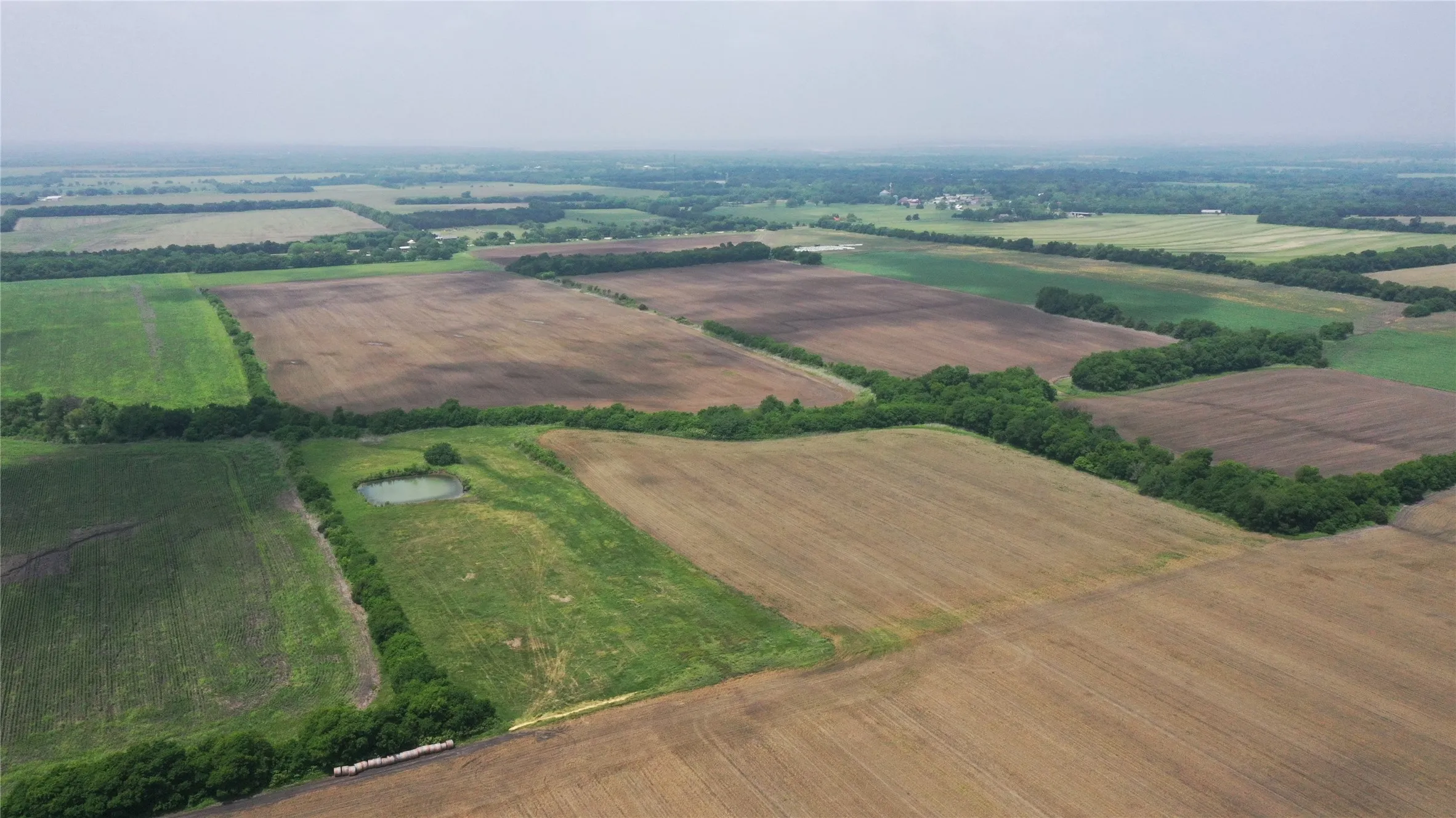 Unimproved Land For Sale in Delta County , TBD Fm 64, Pecan Gap, Texas 75469, 0, 0, Garage spaces, 0 Sqft, built in 0, mls#21251798, Real Estate Agent in Pecan Gap, Homes For Sale in Delta county, Homes For Sale in Pecan Gap, Realtor in Pecan Gap Texas, Real Estate Brokerage Independent Realty Texas, Luminita Cordes Realtor