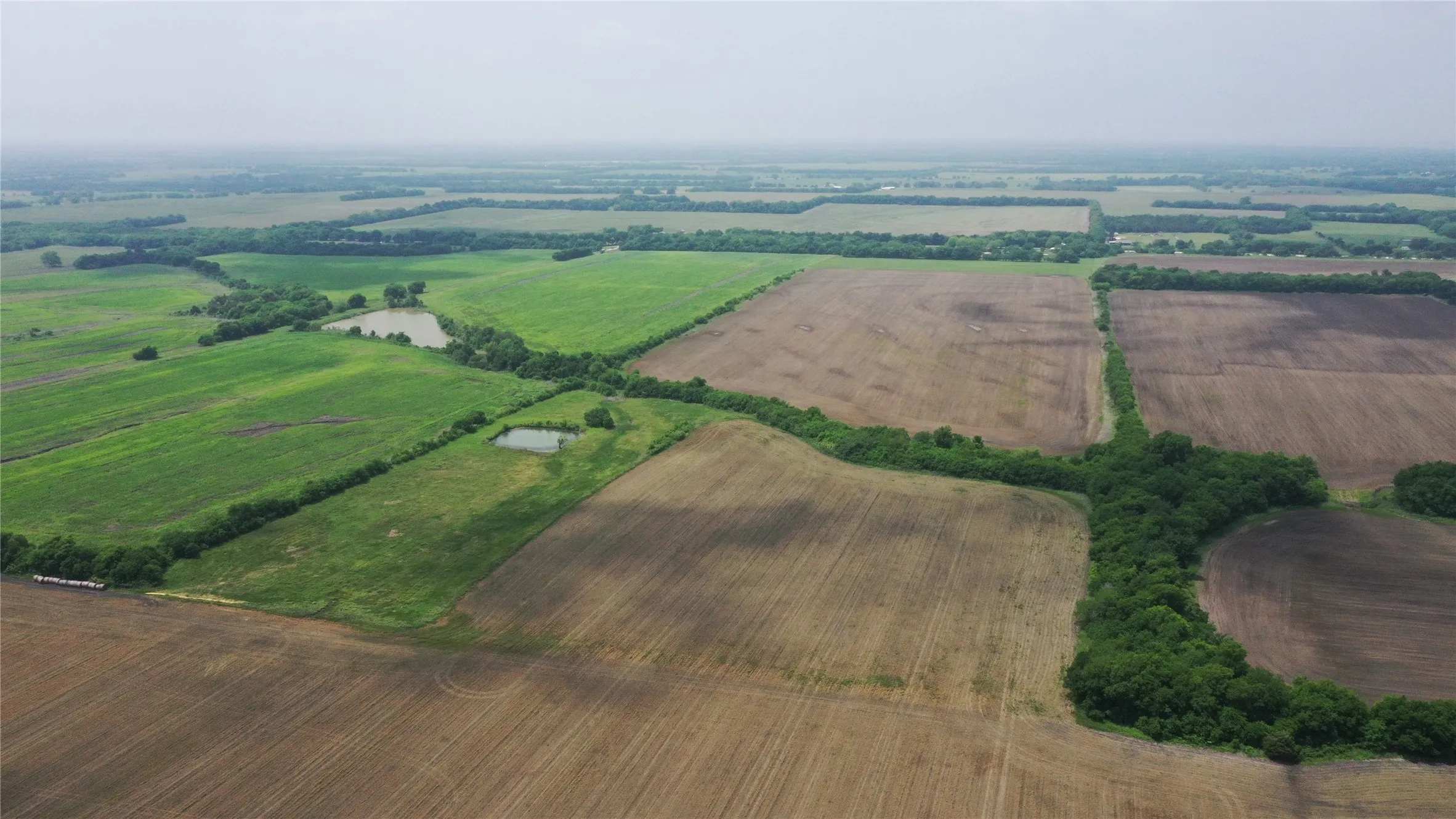 Unimproved Land For Sale in Delta County , TBD Fm 64, Pecan Gap, Texas 75469, 0, 0, Garage spaces, 0 Sqft, built in 0, mls#21251798, Real Estate Agent in Pecan Gap, Homes For Sale in Delta county, Homes For Sale in Pecan Gap, Realtor in Pecan Gap Texas, Real Estate Brokerage Independent Realty Texas, Luminita Cordes Realtor