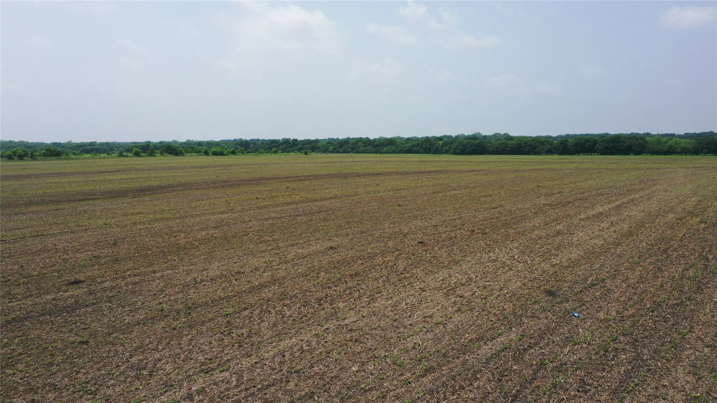 Unimproved Land For Sale in Delta County , TBD Fm 64, Pecan Gap, Texas 75469, 0, 0, Garage spaces, 0 Sqft, built in 0, mls#21251798, Real Estate Agent in Pecan Gap, Homes For Sale in Delta county, Homes For Sale in Pecan Gap, Realtor in Pecan Gap Texas, Real Estate Brokerage Independent Realty Texas, Luminita Cordes Realtor