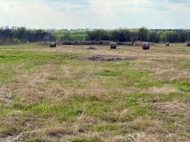 Unimproved Land For Sale in Delta County , TBD Fm 64, Pecan Gap, Texas 75469, 0, 0, Garage spaces, 0 Sqft, built in 0, mls#21251798, Real Estate Agent in Pecan Gap, Homes For Sale in Delta county, Homes For Sale in Pecan Gap, Realtor in Pecan Gap Texas, Real Estate Brokerage Independent Realty Texas, Luminita Cordes Realtor
