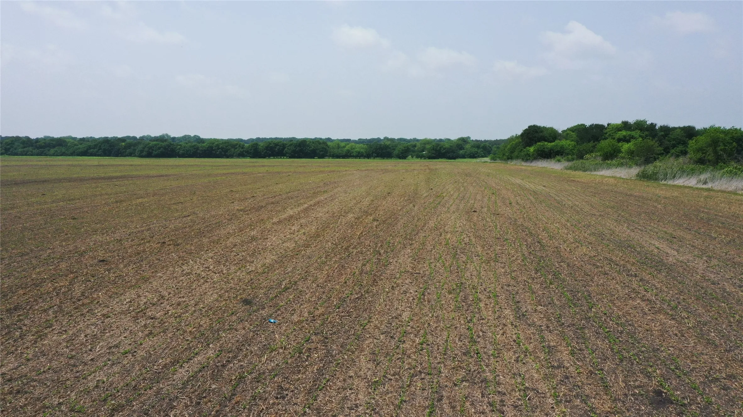 Unimproved Land For Sale in Delta County , TBD Fm 64, Pecan Gap, Texas 75469, 0, 0, Garage spaces, 0 Sqft, built in 0, mls#21251798, Real Estate Agent in Pecan Gap, Homes For Sale in Delta county, Homes For Sale in Pecan Gap, Realtor in Pecan Gap Texas, Real Estate Brokerage Independent Realty Texas, Luminita Cordes Realtor