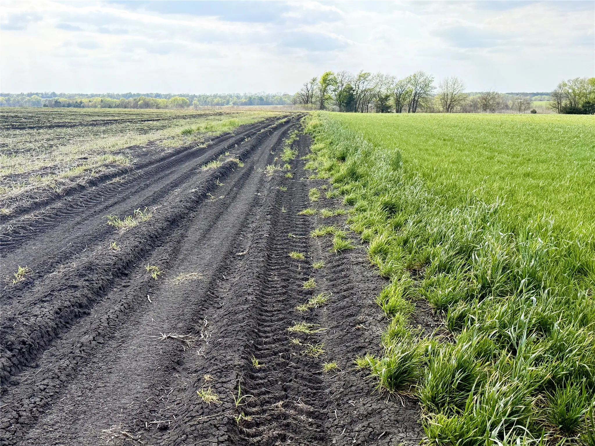 Unimproved Land For Sale in Delta County , TBD Fm 64, Pecan Gap, Texas 75469, 0, 0, Garage spaces, 0 Sqft, built in 0, mls#21251798, Real Estate Agent in Pecan Gap, Homes For Sale in Delta county, Homes For Sale in Pecan Gap, Realtor in Pecan Gap Texas, Real Estate Brokerage Independent Realty Texas, Luminita Cordes Realtor