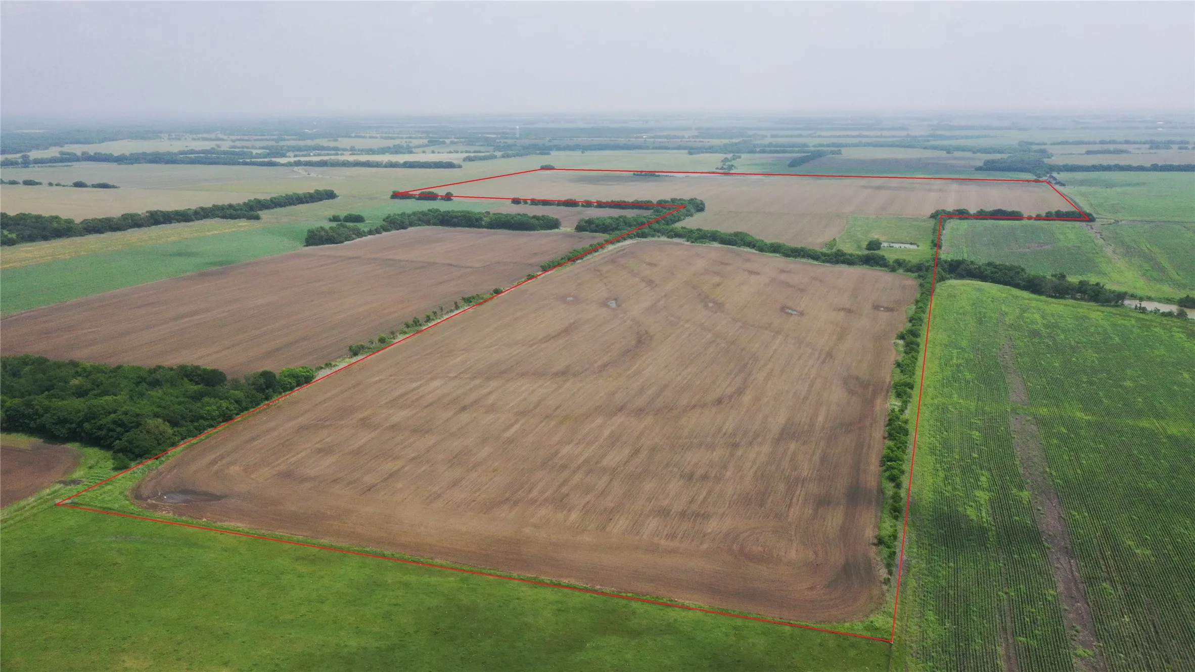 Unimproved Land For Sale in Delta County , TBD Fm 64, Pecan Gap, Texas 75469, 0, 0, Garage spaces, 0 Sqft, built in 0, mls#21251798, Real Estate Agent in Pecan Gap, Homes For Sale in Delta county, Homes For Sale in Pecan Gap, Realtor in Pecan Gap Texas, Real Estate Brokerage Independent Realty Texas, Luminita Cordes Realtor