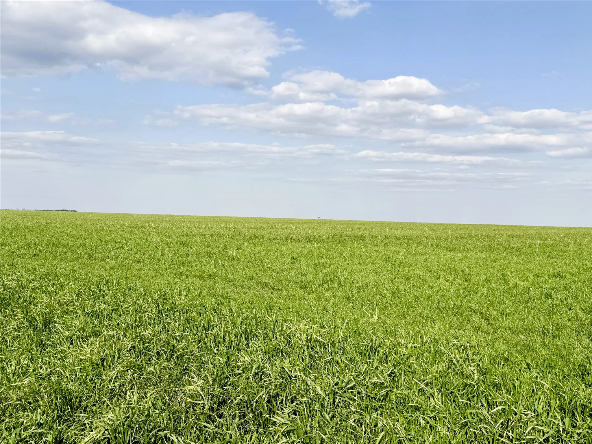 Unimproved Land For Sale in Delta County , TBD Fm 64, Pecan Gap, Texas 75469, 0, 0, Garage spaces, 0 Sqft, built in 0, mls#21251798, Real Estate Agent in Pecan Gap, Homes For Sale in Delta county, Homes For Sale in Pecan Gap, Realtor in Pecan Gap Texas, Real Estate Brokerage Independent Realty Texas, Luminita Cordes Realtor