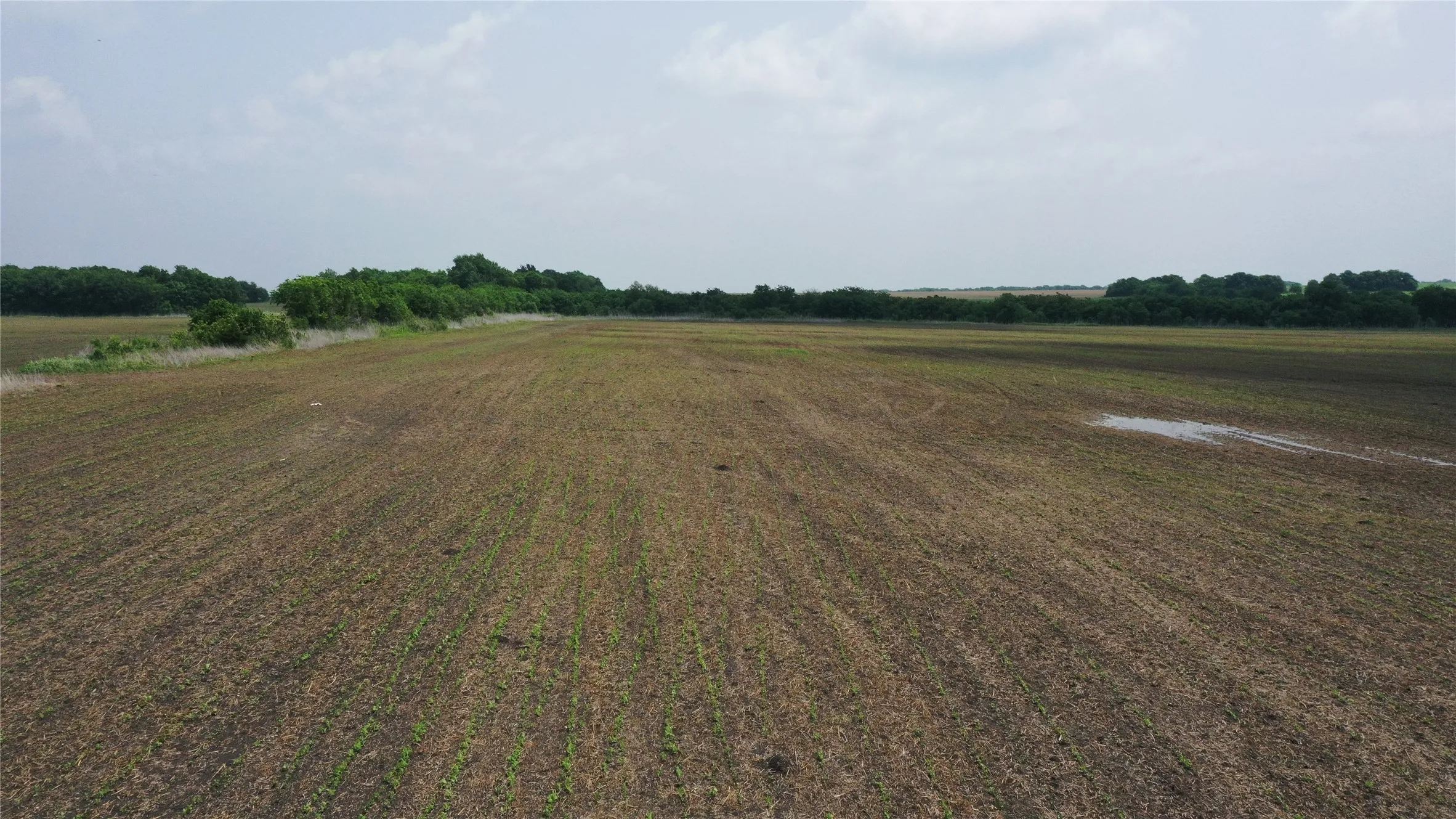 Unimproved Land For Sale in Delta County , TBD Fm 64, Pecan Gap, Texas 75469, 0, 0, Garage spaces, 0 Sqft, built in 0, mls#21251798, Real Estate Agent in Pecan Gap, Homes For Sale in Delta county, Homes For Sale in Pecan Gap, Realtor in Pecan Gap Texas, Real Estate Brokerage Independent Realty Texas, Luminita Cordes Realtor