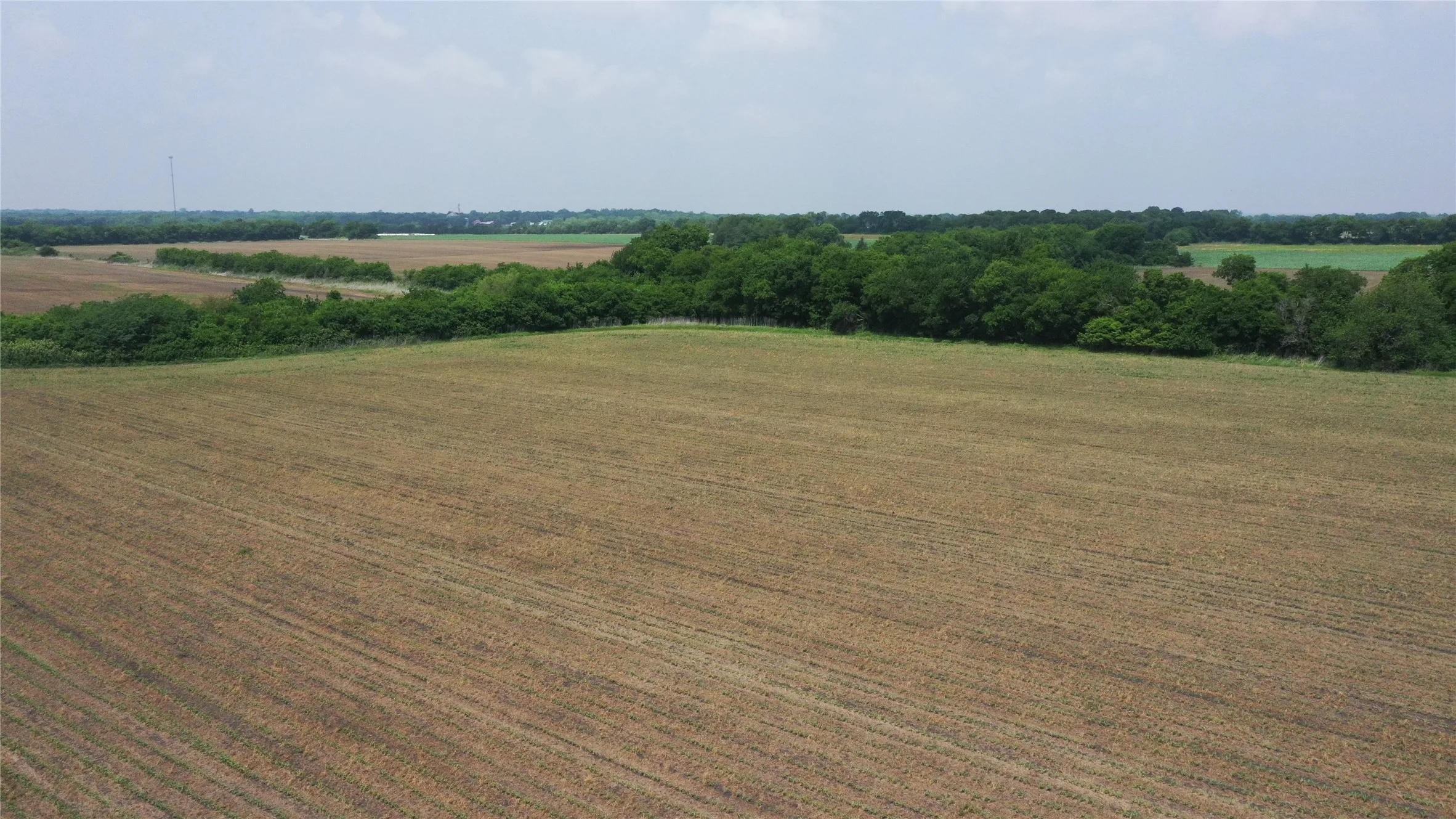 Unimproved Land For Sale in Delta County , TBD Fm 64, Pecan Gap, Texas 75469, 0, 0, Garage spaces, 0 Sqft, built in 0, mls#21251798, Real Estate Agent in Pecan Gap, Homes For Sale in Delta county, Homes For Sale in Pecan Gap, Realtor in Pecan Gap Texas, Real Estate Brokerage Independent Realty Texas, Luminita Cordes Realtor
