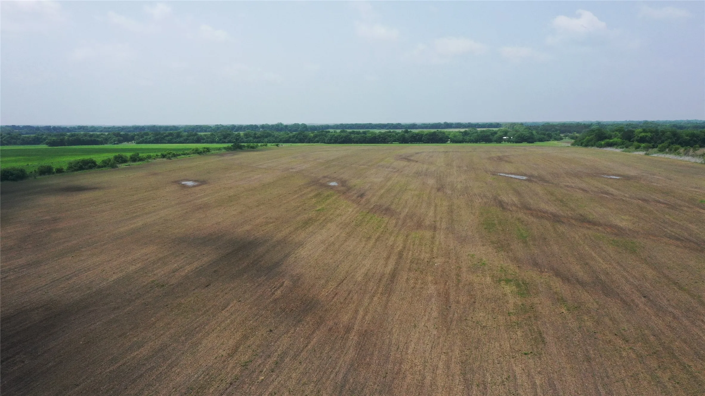 Unimproved Land For Sale in Delta County , TBD Fm 64, Pecan Gap, Texas 75469, 0, 0, Garage spaces, 0 Sqft, built in 0, mls#21251798, Real Estate Agent in Pecan Gap, Homes For Sale in Delta county, Homes For Sale in Pecan Gap, Realtor in Pecan Gap Texas, Real Estate Brokerage Independent Realty Texas, Luminita Cordes Realtor