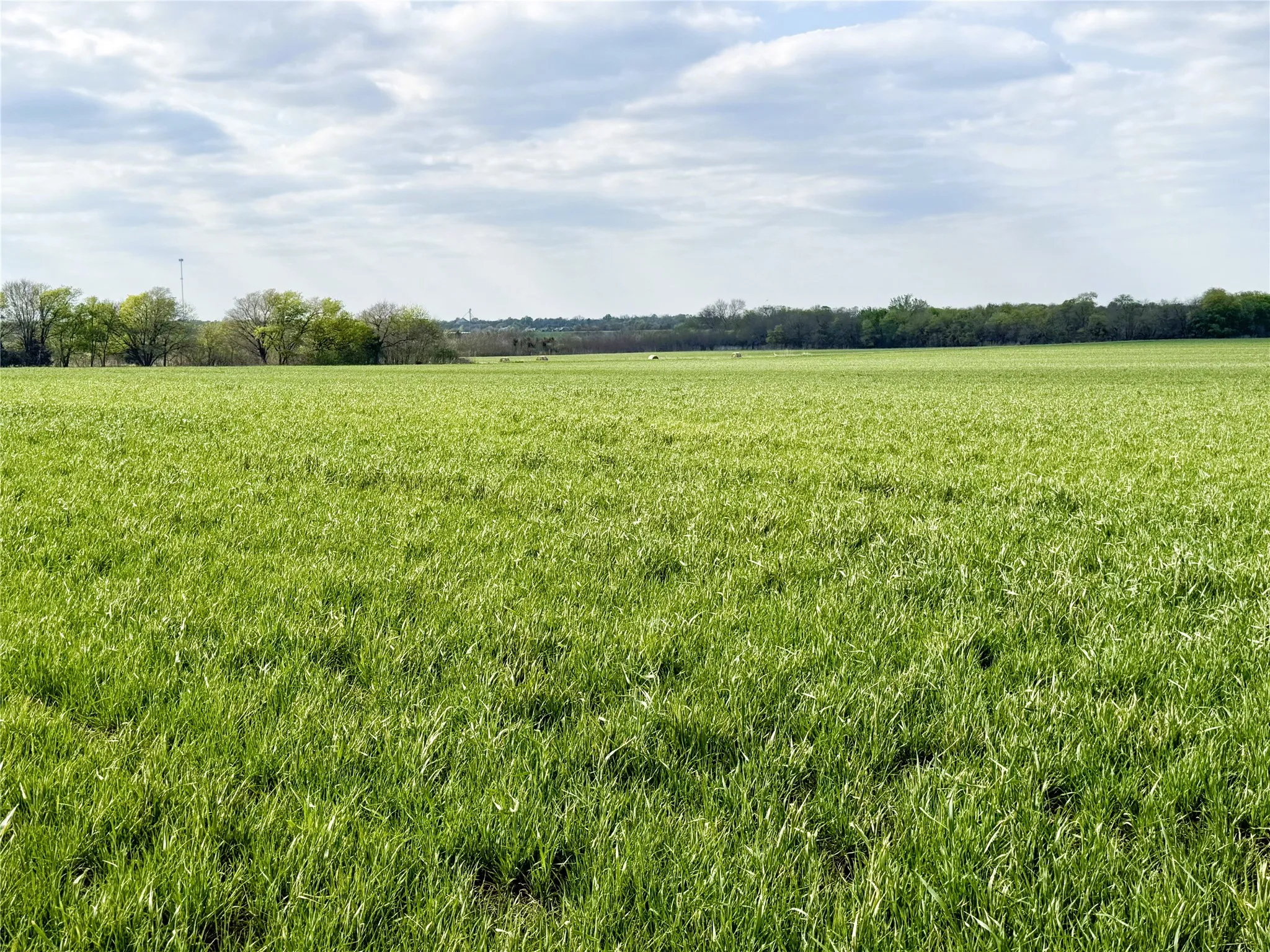Unimproved Land For Sale in Delta County , TBD Fm 64, Pecan Gap, Texas 75469, 0, 0, Garage spaces, 0 Sqft, built in 0, mls#21251798, Real Estate Agent in Pecan Gap, Homes For Sale in Delta county, Homes For Sale in Pecan Gap, Realtor in Pecan Gap Texas, Real Estate Brokerage Independent Realty Texas, Luminita Cordes Realtor