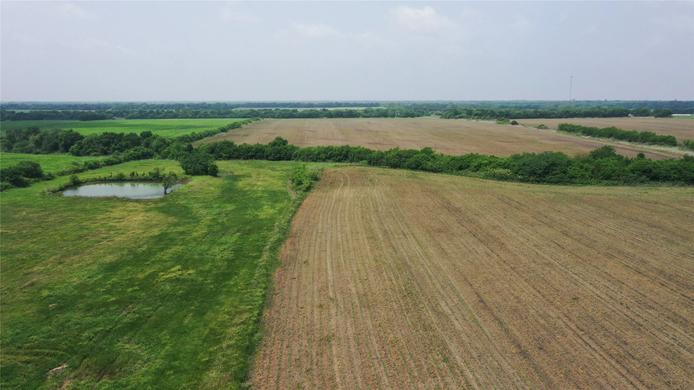 Unimproved Land For Sale in Delta County , TBD Fm 64, Pecan Gap, Texas 75469, 0, 0, Garage spaces, 0 Sqft, built in 0, mls#21251798, Real Estate Agent in Pecan Gap, Homes For Sale in Delta county, Homes For Sale in Pecan Gap, Realtor in Pecan Gap Texas, Real Estate Brokerage Independent Realty Texas, Luminita Cordes Realtor