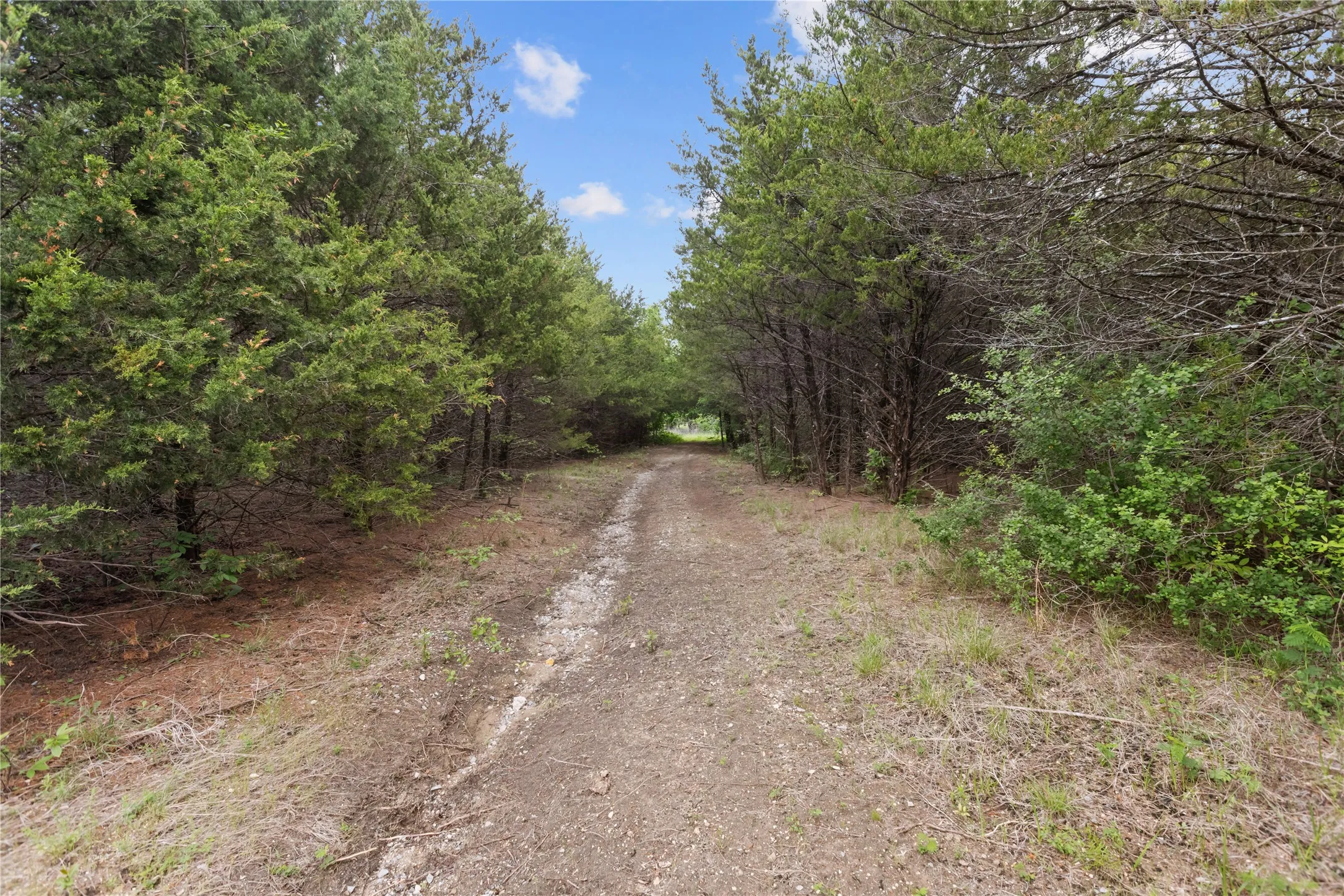 Single Family Residence For Sale in Fannin County , 1229 County Rd 3105, Bonham, Texas 75418, 0, 0, Garage spaces, 4,680 Sqft, built in 2001, mls#21248979, Real Estate Agent in Bonham, Homes For Sale in Fannin county, Homes For Sale in Bonham, Realtor in Bonham Texas, Real Estate Brokerage Independent Realty Texas, Luminita Cordes Realtor