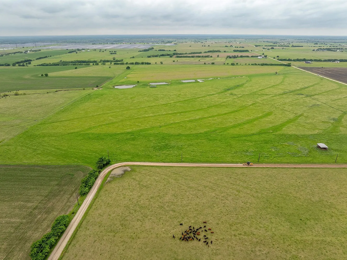 Improved Land For Sale in Cooke County , 1010 County Road 382, Era, Texas 76238, 0, 0, Garage spaces, 0 Sqft, built in 2020, mls#21247195, Real Estate Agent in Era, Homes For Sale in Cooke county, Homes For Sale in Era, Realtor in Era Texas, Real Estate Brokerage Independent Realty Texas, Luminita Cordes Realtor