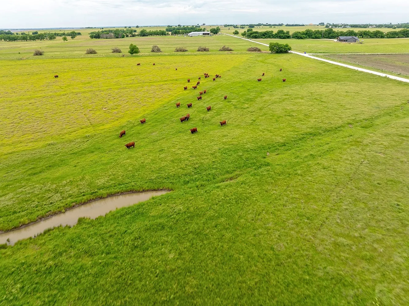 Improved Land For Sale in Cooke County , 1010 County Road 382, Era, Texas 76238, 0, 0, Garage spaces, 0 Sqft, built in 2020, mls#21247195, Real Estate Agent in Era, Homes For Sale in Cooke county, Homes For Sale in Era, Realtor in Era Texas, Real Estate Brokerage Independent Realty Texas, Luminita Cordes Realtor