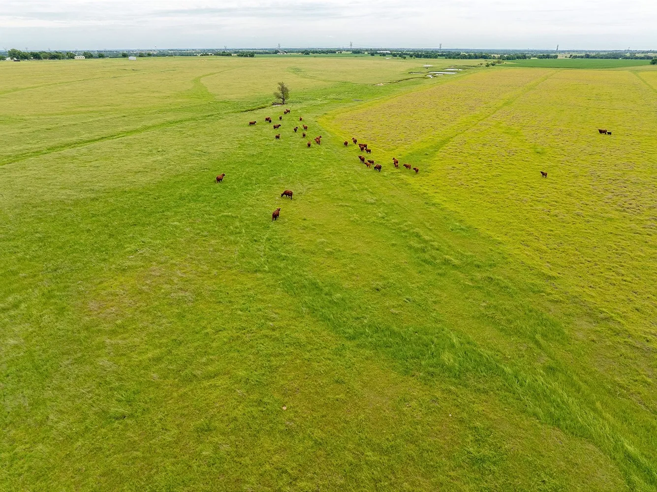 Improved Land For Sale in Cooke County , 1010 County Road 382, Era, Texas 76238, 0, 0, Garage spaces, 0 Sqft, built in 2020, mls#21247195, Real Estate Agent in Era, Homes For Sale in Cooke county, Homes For Sale in Era, Realtor in Era Texas, Real Estate Brokerage Independent Realty Texas, Luminita Cordes Realtor