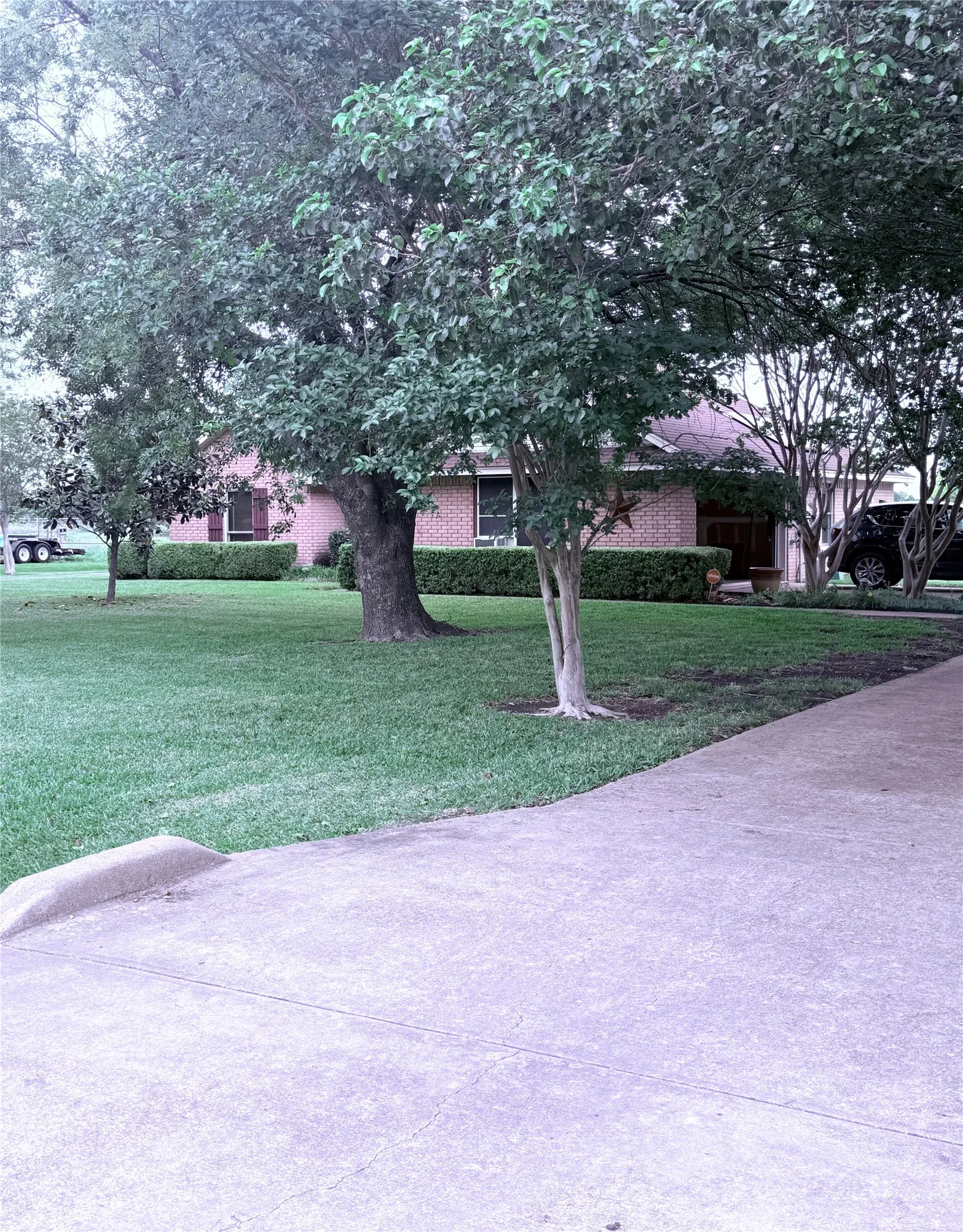 Driveway