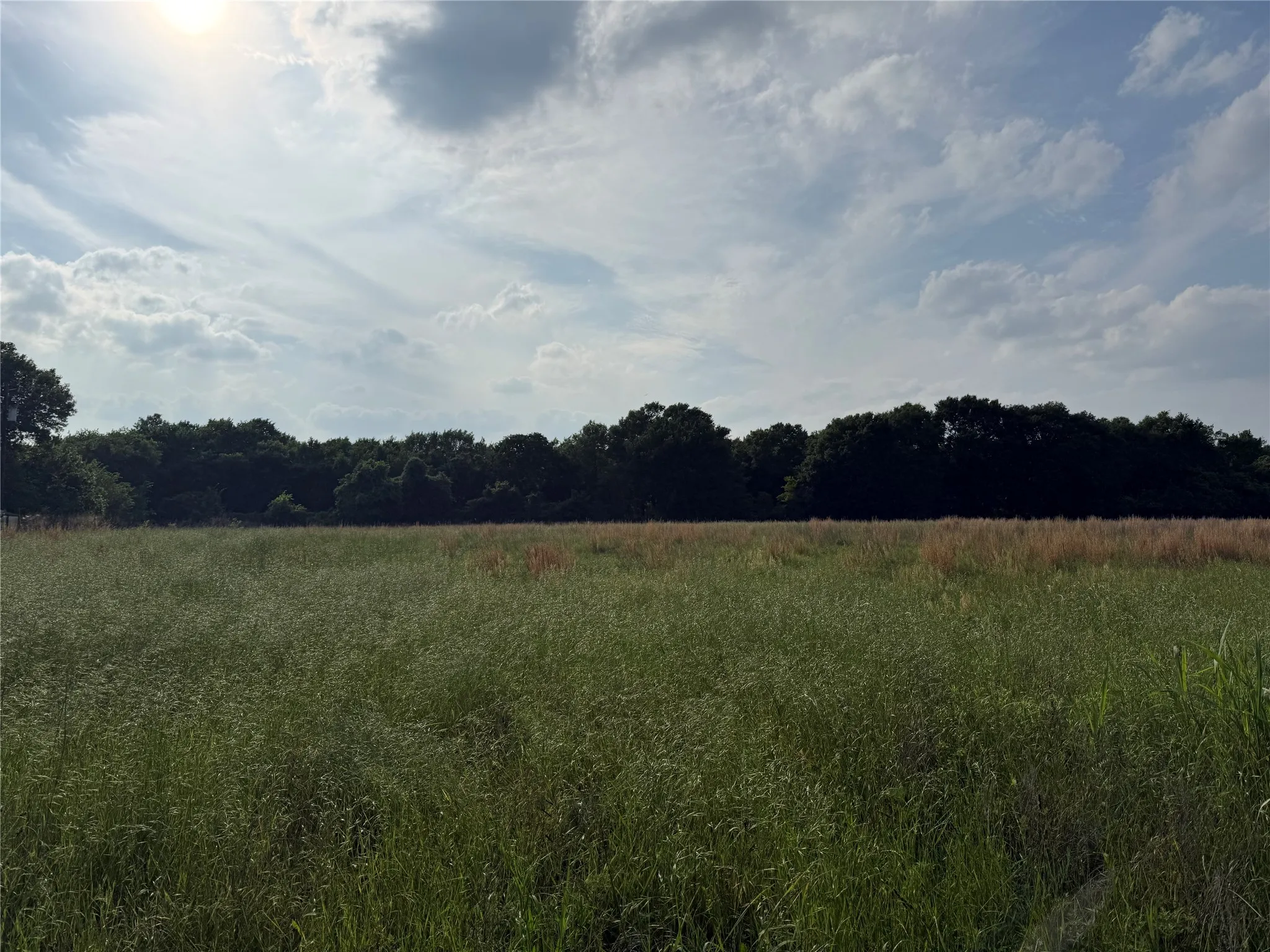 Unimproved Land For Sale in Kaufman County , LOT 2 County Road 4072, Kemp, Texas 75143, 0, 0, Garage spaces, 0 Sqft, built in 0, mls#21252141, Real Estate Agent in Kemp, Homes For Sale in Kaufman county, Homes For Sale in Kemp, Realtor in Kemp Texas, Real Estate Brokerage Independent Realty Texas, Luminita Cordes Realtor