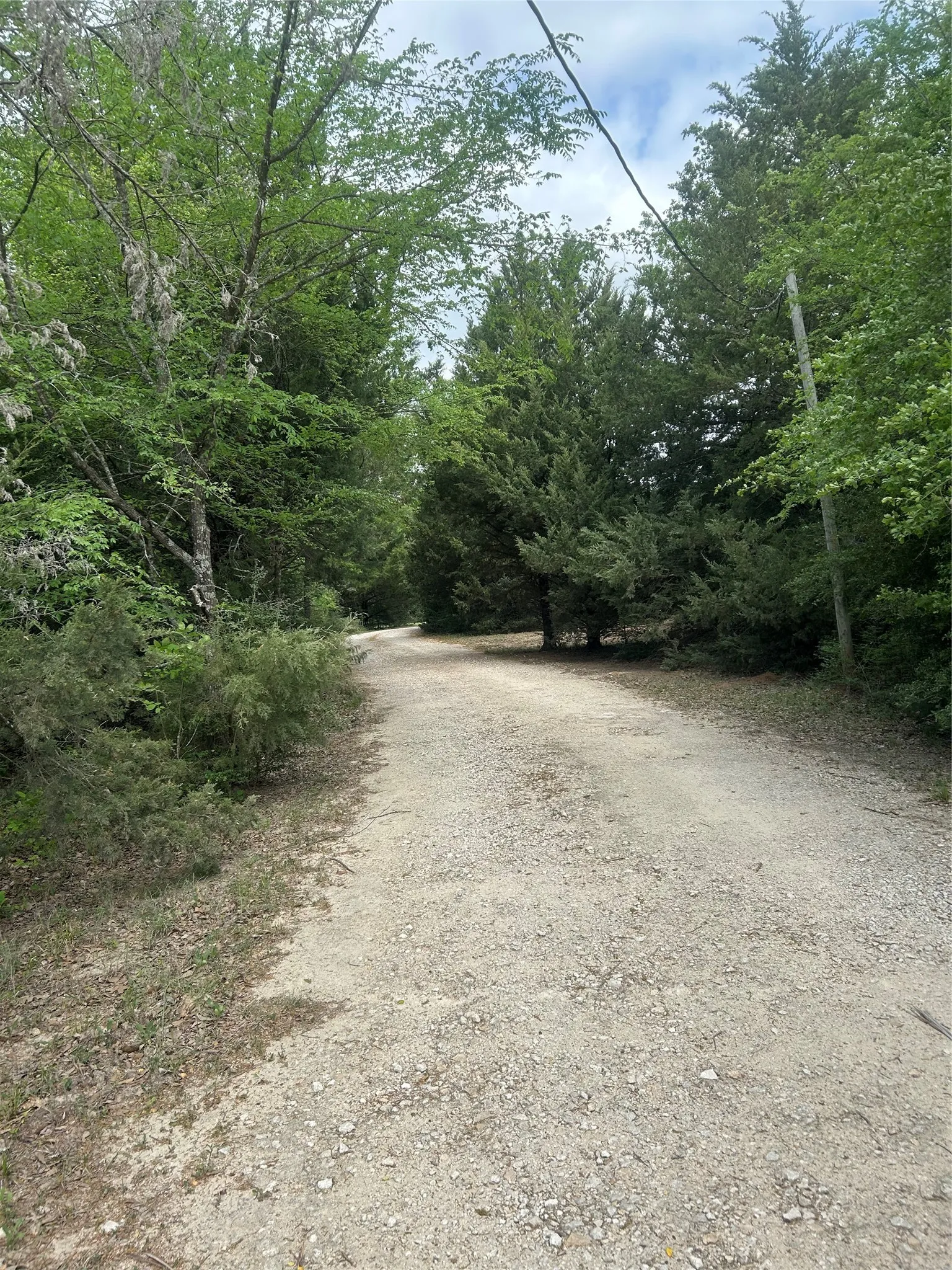 Driveway