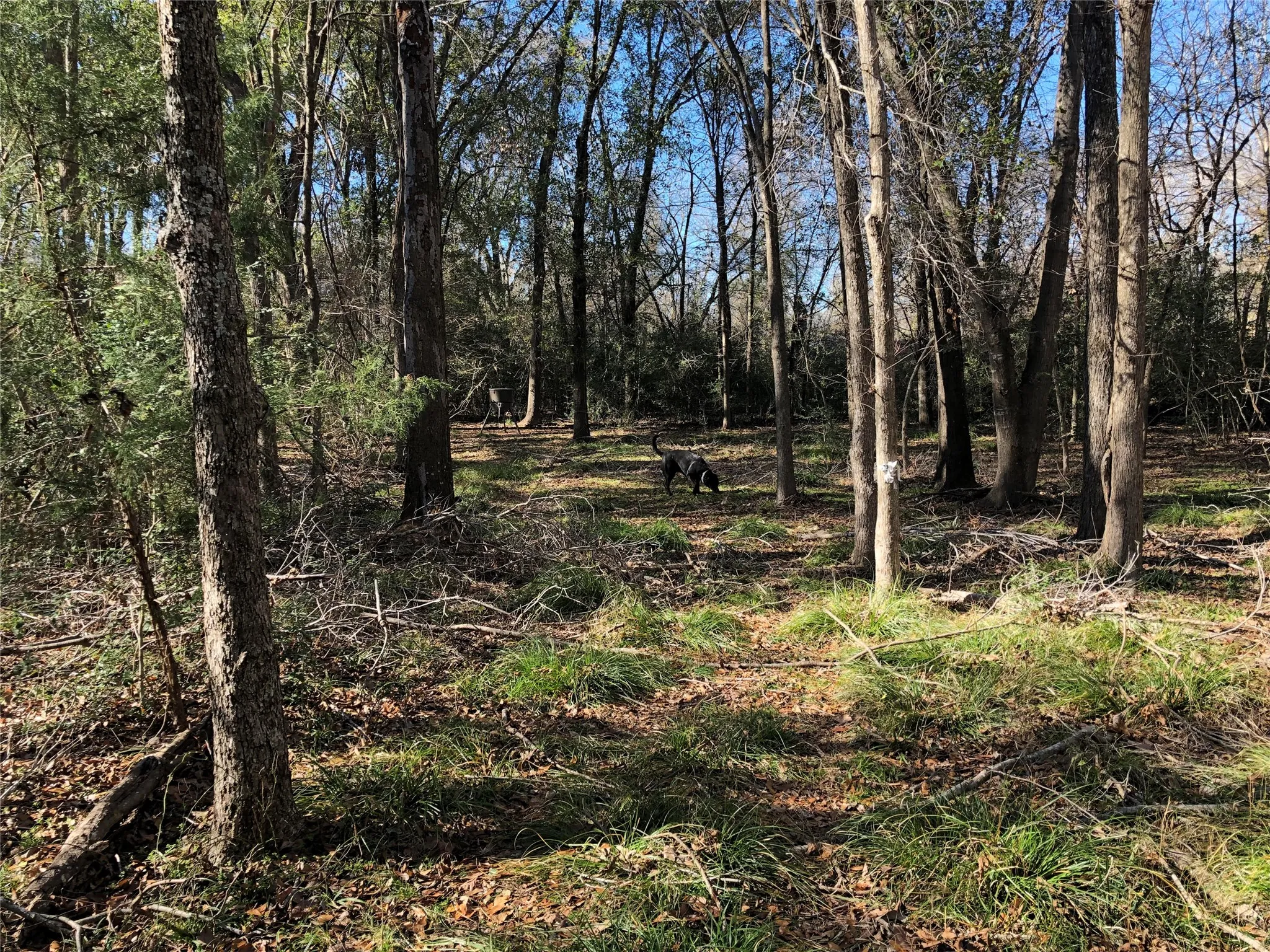 Single Family Residence For Sale in Limestone County , 190 Private Road 5825A, Groesbeck, Texas 76642, 3 Bedroom, 3 Bathroom, 2 Garage spaces, 2,400 Sqft, built in 2021, New Construction - Complete, mls#21252280, Real Estate Agent in Groesbeck, Homes For Sale in Limestone county, Homes For Sale in Groesbeck, Realtor in Groesbeck Texas, Real Estate Brokerage Independent Realty Texas, Luminita Cordes Realtor