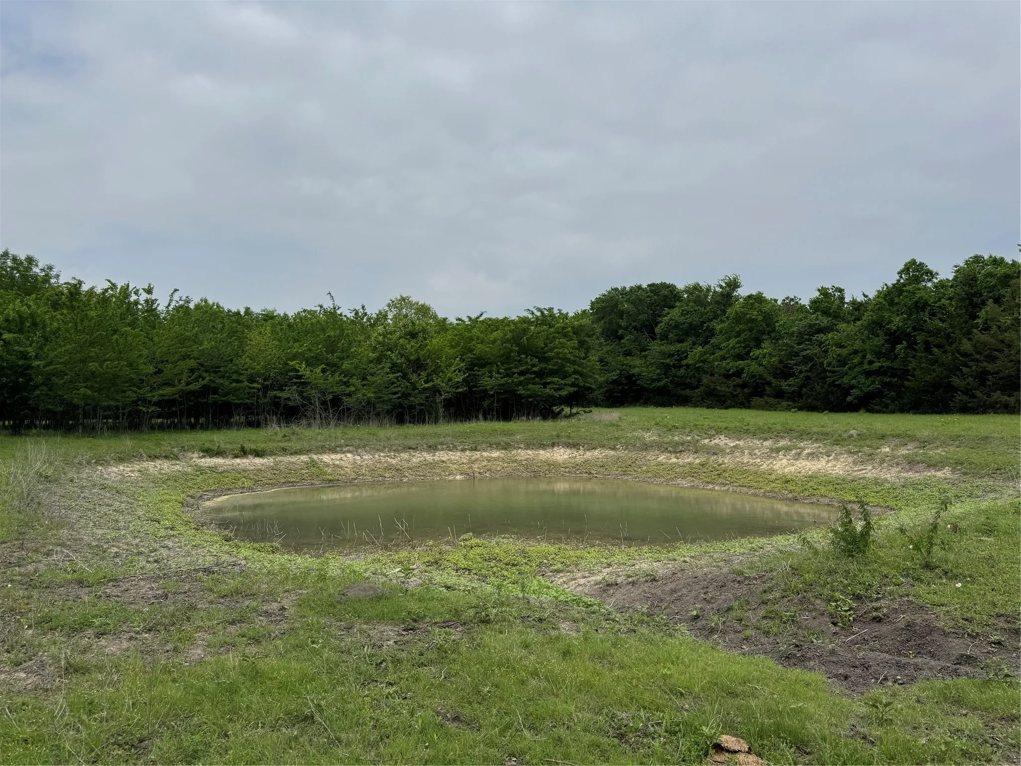 Unimproved Land For Sale in Collin County , 6910 County Road 1218, Mc Kinney, Texas 75071, 0, 0, Garage spaces, 0 Sqft, built in 0, Price $4,546,985, mls#21251436, Real Estate Agent in Mc Kinney, Homes For Sale in Collin county, Homes For Sale in Mc Kinney, Realtor in Mc Kinney Texas, Real Estate Brokerage Independent Realty Texas, Luminita Cordes Realtor