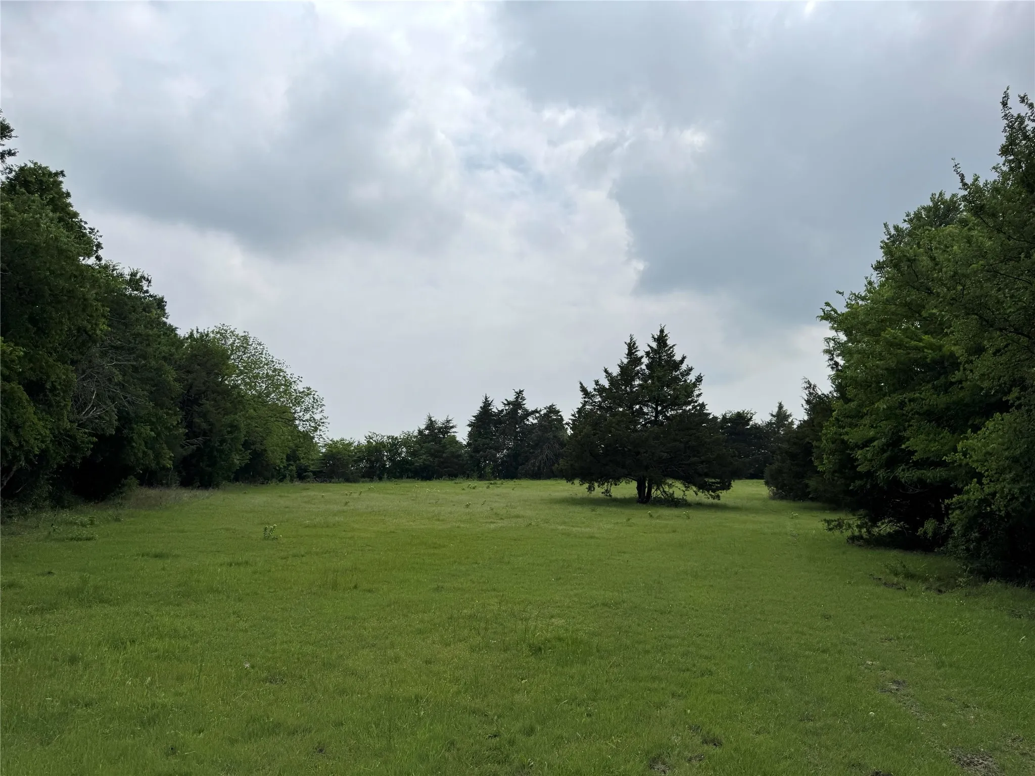 Unimproved Land For Sale in Collin County , 6910 County Road 1218, Mc Kinney, Texas 75071, 0, 0, Garage spaces, 0 Sqft, built in 0, Price $4,546,985, mls#21251436, Real Estate Agent in Mc Kinney, Homes For Sale in Collin county, Homes For Sale in Mc Kinney, Realtor in Mc Kinney Texas, Real Estate Brokerage Independent Realty Texas, Luminita Cordes Realtor
