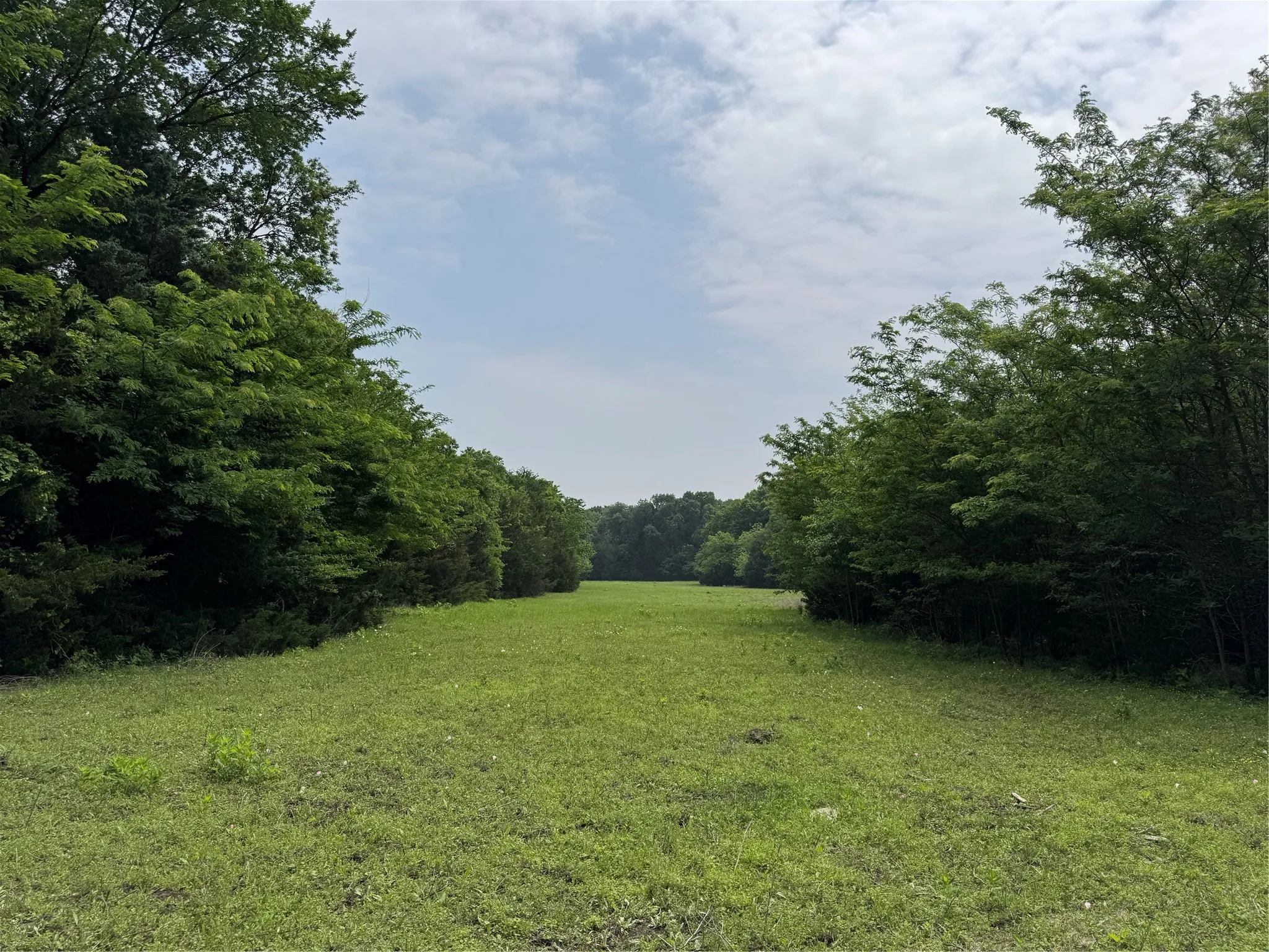 Unimproved Land For Sale in Collin County , 6910 County Road 1218, Mc Kinney, Texas 75071, 0, 0, Garage spaces, 0 Sqft, built in 0, Price $4,546,985, mls#21251436, Real Estate Agent in Mc Kinney, Homes For Sale in Collin county, Homes For Sale in Mc Kinney, Realtor in Mc Kinney Texas, Real Estate Brokerage Independent Realty Texas, Luminita Cordes Realtor