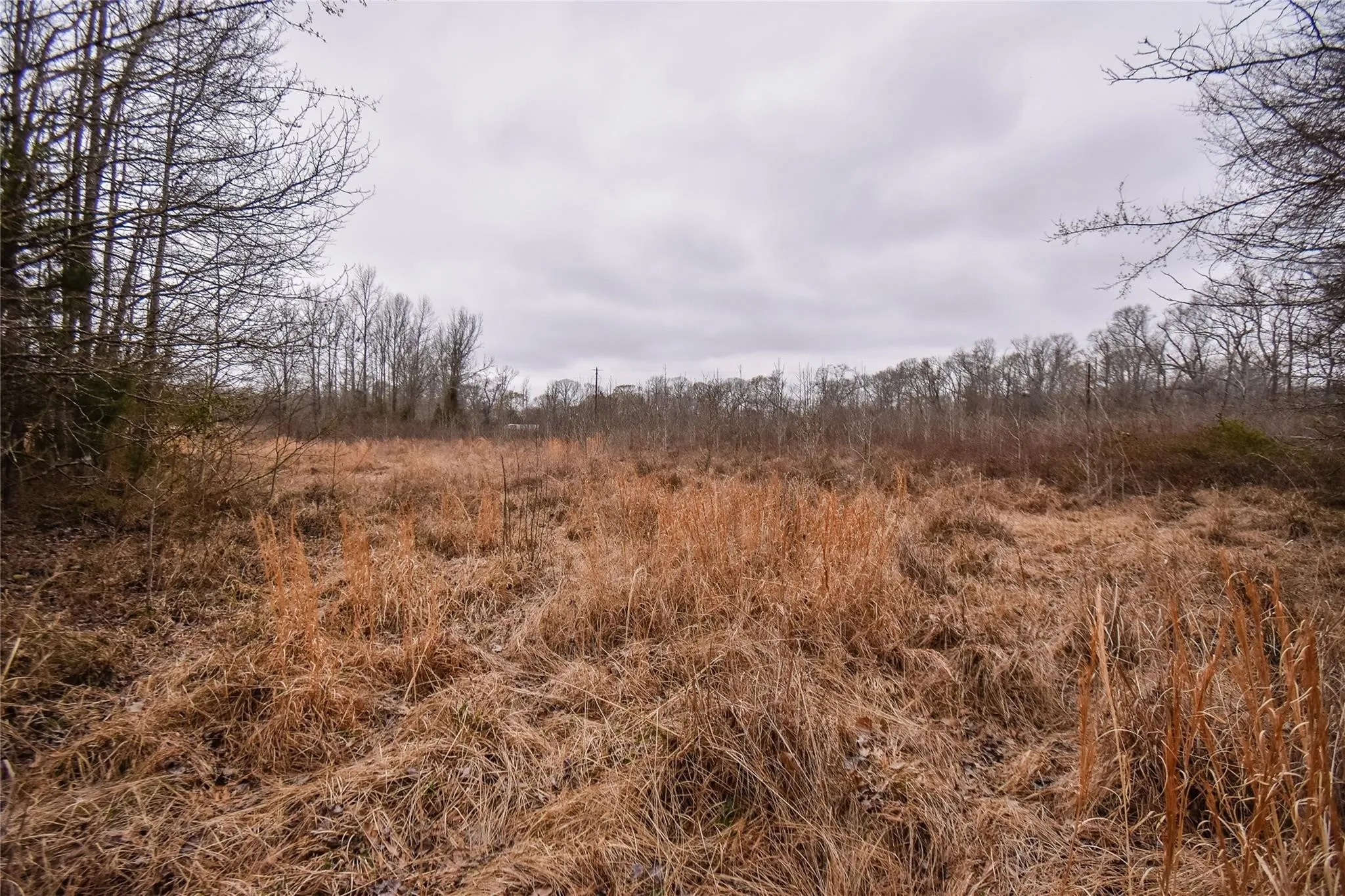 Unimproved Land For Sale in Henderson County , TBD PR 8903, Athens, Texas 75752, 0, 0, Garage spaces, 0 Sqft, built in 0, Price $74,000, mls#21252299, Real Estate Agent in Athens, Homes For Sale in Henderson county, Homes For Sale in Athens, Realtor in Athens Texas, Real Estate Brokerage Independent Realty Texas, Luminita Cordes Realtor