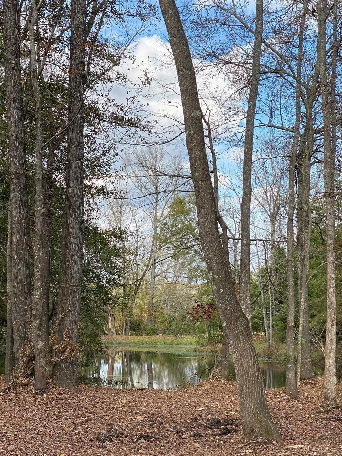 Unimproved Land For Sale in Henderson County , TBD PR 8903, Athens, Texas 75752, 0, 0, Garage spaces, 0 Sqft, built in 0, Price $74,000, mls#21252299, Real Estate Agent in Athens, Homes For Sale in Henderson county, Homes For Sale in Athens, Realtor in Athens Texas, Real Estate Brokerage Independent Realty Texas, Luminita Cordes Realtor