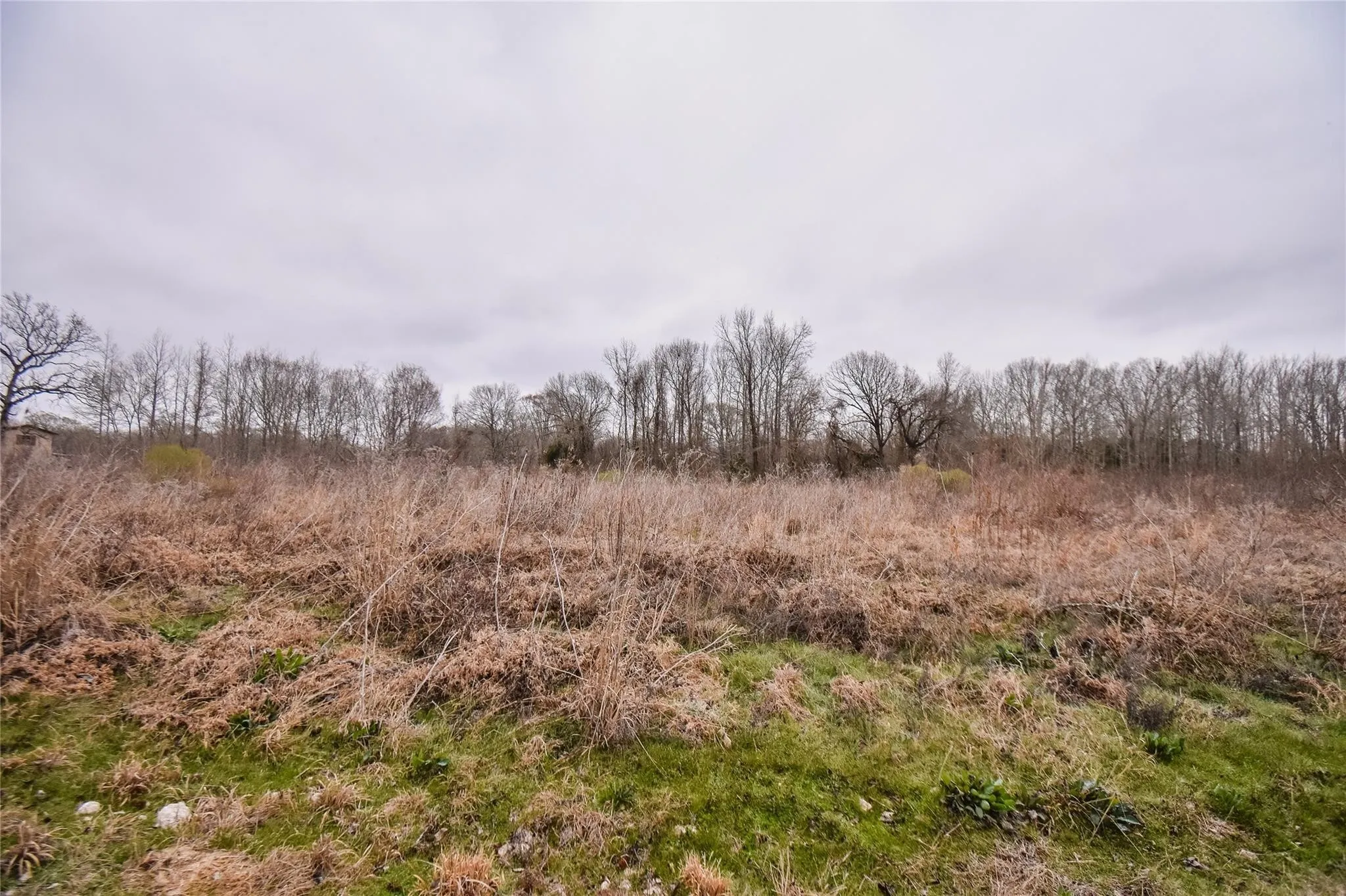 Unimproved Land For Sale in Henderson County , TBD PR 8903, Athens, Texas 75752, 0, 0, Garage spaces, 0 Sqft, built in 0, Price $74,000, mls#21252299, Real Estate Agent in Athens, Homes For Sale in Henderson county, Homes For Sale in Athens, Realtor in Athens Texas, Real Estate Brokerage Independent Realty Texas, Luminita Cordes Realtor