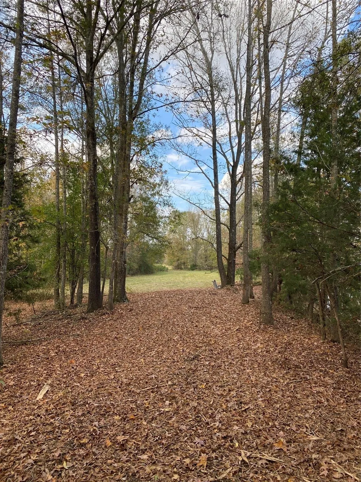 Unimproved Land For Sale in Henderson County , TBD PR 8903, Athens, Texas 75752, 0, 0, Garage spaces, 0 Sqft, built in 0, Price $74,000, mls#21252299, Real Estate Agent in Athens, Homes For Sale in Henderson county, Homes For Sale in Athens, Realtor in Athens Texas, Real Estate Brokerage Independent Realty Texas, Luminita Cordes Realtor