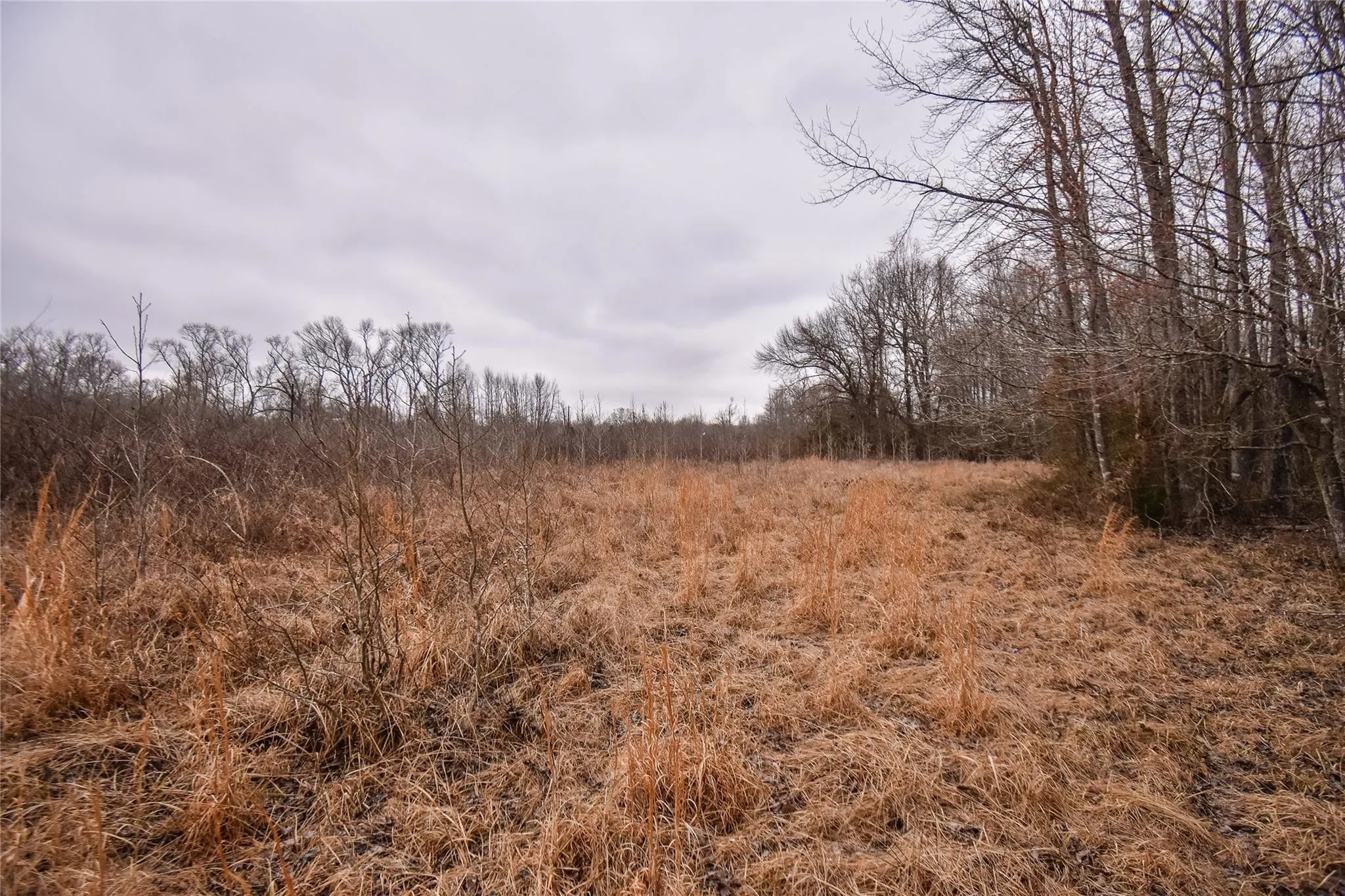 Unimproved Land For Sale in Henderson County , TBD PR 8903, Athens, Texas 75752, 0, 0, Garage spaces, 0 Sqft, built in 0, Price $74,000, mls#21252299, Real Estate Agent in Athens, Homes For Sale in Henderson county, Homes For Sale in Athens, Realtor in Athens Texas, Real Estate Brokerage Independent Realty Texas, Luminita Cordes Realtor