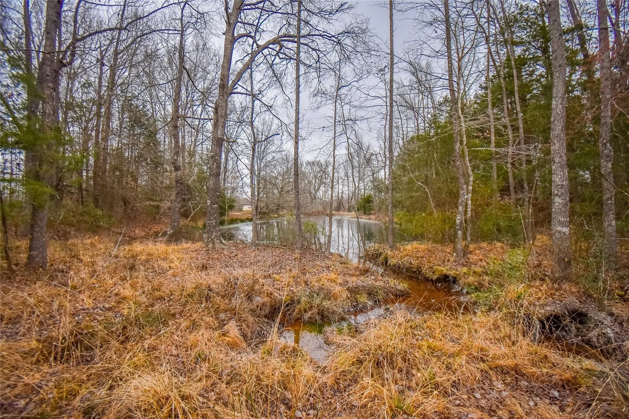 Unimproved Land For Sale in Henderson County , TBD PR 8903, Athens, Texas 75752, 0, 0, Garage spaces, 0 Sqft, built in 0, Price $74,000, mls#21252299, Real Estate Agent in Athens, Homes For Sale in Henderson county, Homes For Sale in Athens, Realtor in Athens Texas, Real Estate Brokerage Independent Realty Texas, Luminita Cordes Realtor