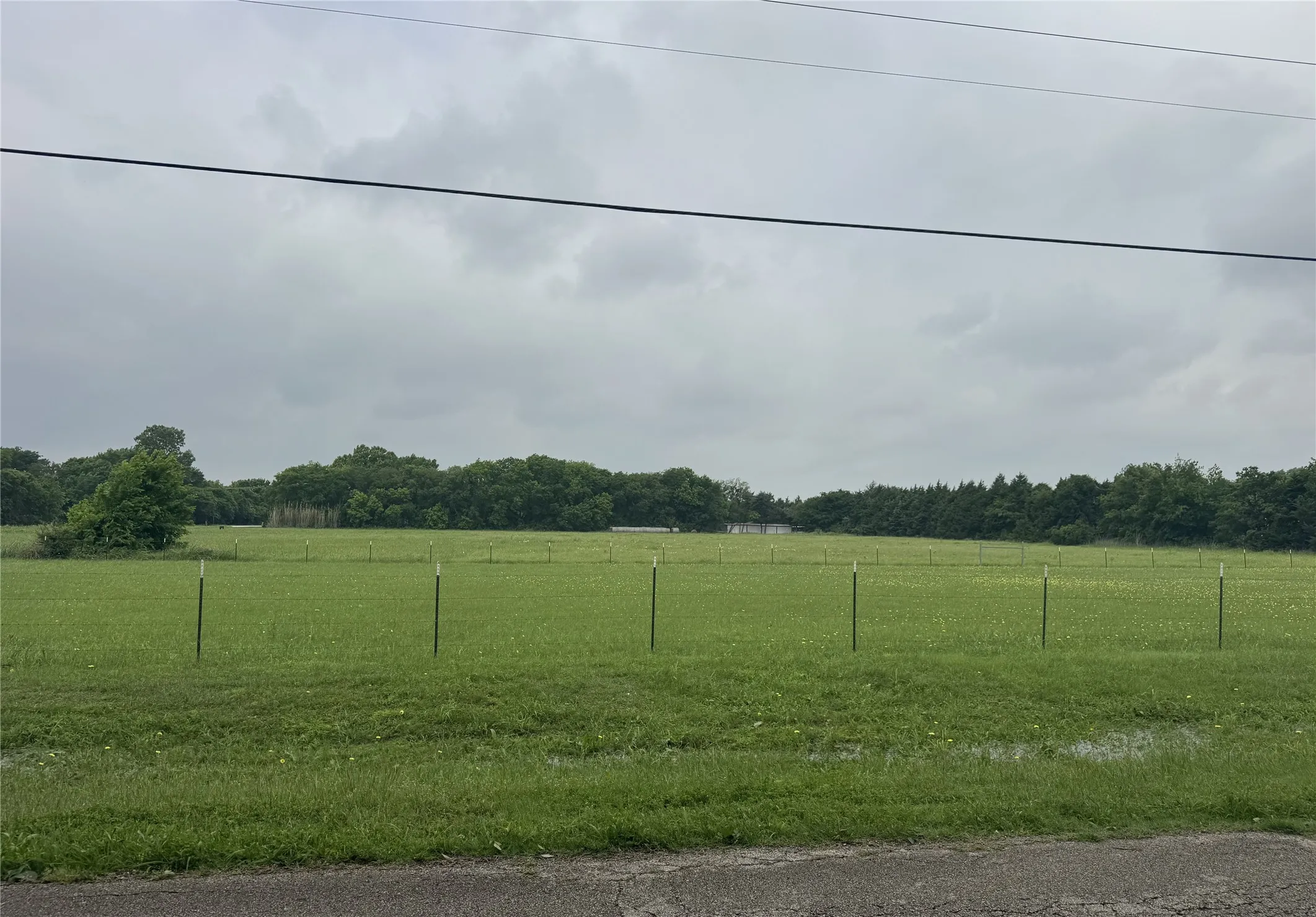 Expansive green field with T-posts, bordered by mature trees