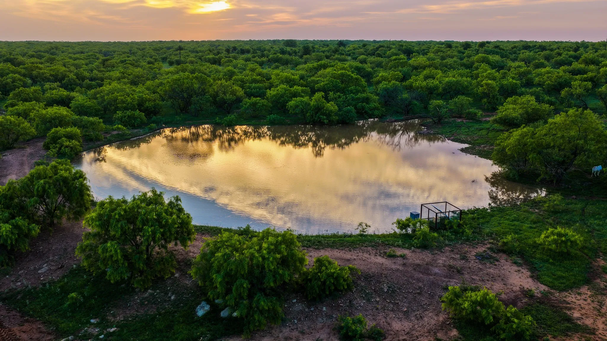 Farm For Sale in Young County , 10000 Fm 209, Graham, Texas 76450, 5 Bedroom, 4 Bathroom, 2 Garage spaces, 7,970 Sqft, built in 2022, Preowned, mls#21251893, Real Estate Agent in Graham, Homes For Sale in Young county, Homes For Sale in Graham, Realtor in Graham Texas, Real Estate Brokerage Independent Realty Texas, Luminita Cordes Realtor