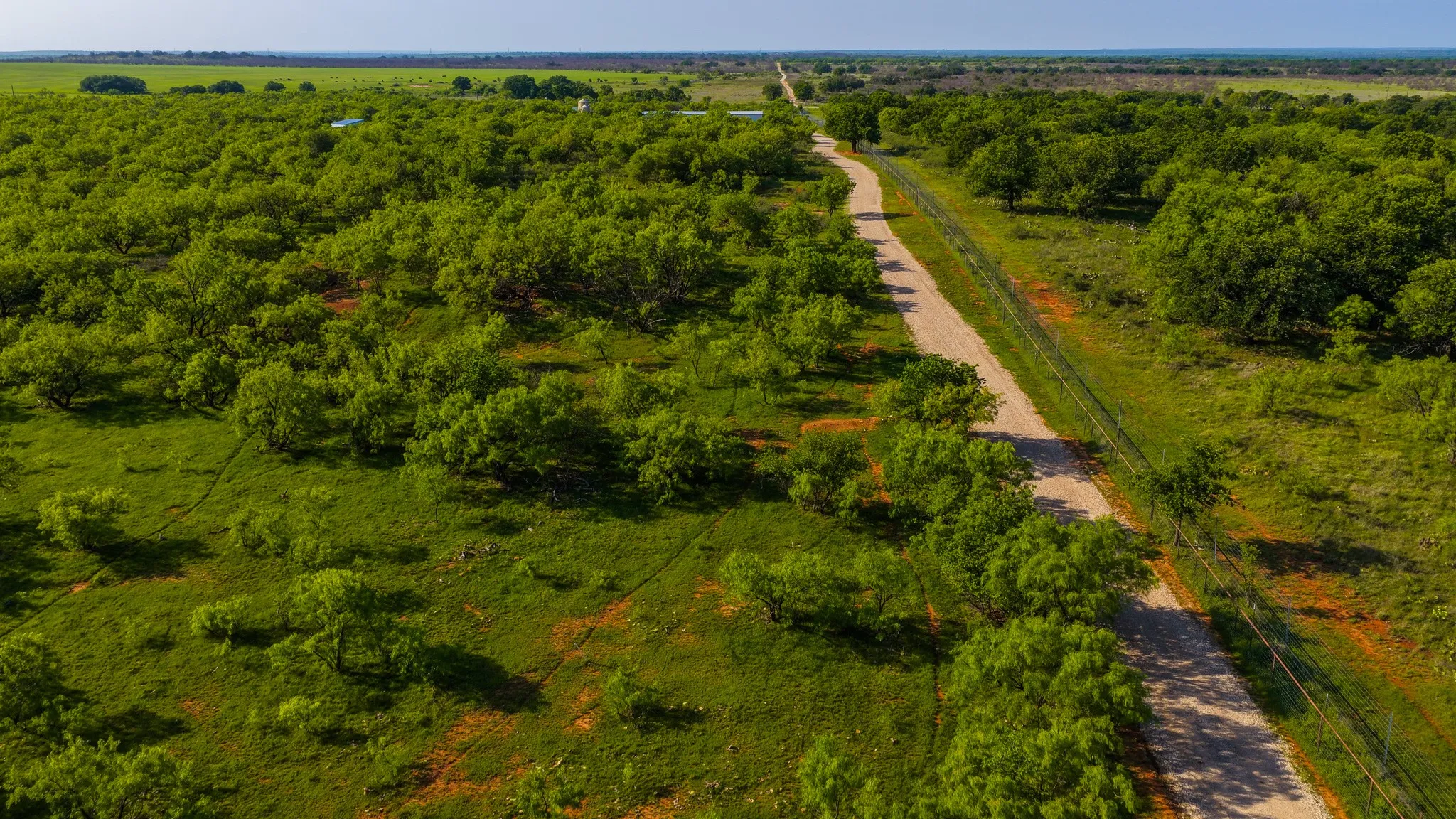 Farm For Sale in Young County , 10000 Fm 209, Graham, Texas 76450, 5 Bedroom, 4 Bathroom, 2 Garage spaces, 7,970 Sqft, built in 2022, Preowned, mls#21251893, Real Estate Agent in Graham, Homes For Sale in Young county, Homes For Sale in Graham, Realtor in Graham Texas, Real Estate Brokerage Independent Realty Texas, Luminita Cordes Realtor