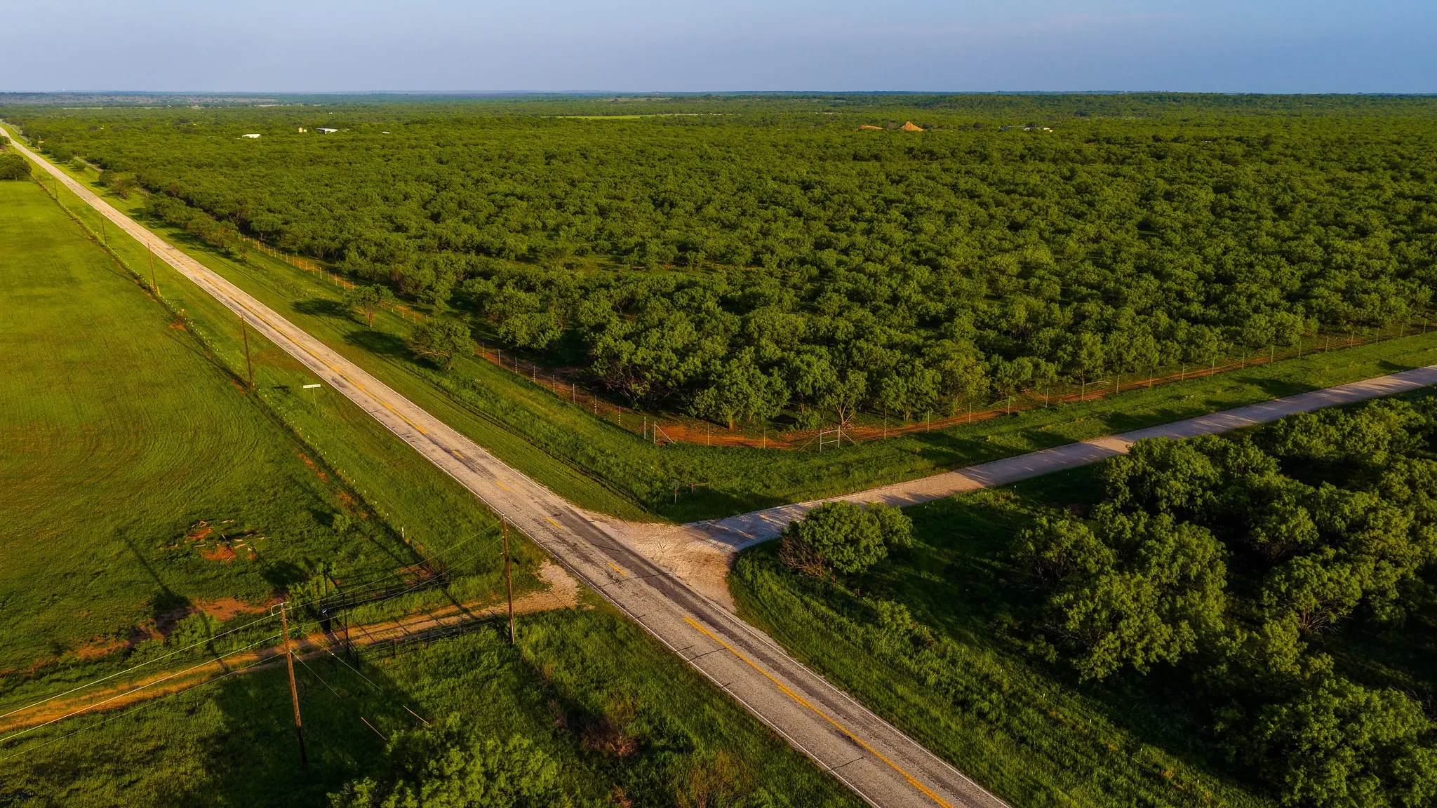 Farm For Sale in Young County , 10000 Fm 209, Graham, Texas 76450, 5 Bedroom, 4 Bathroom, 2 Garage spaces, 7,970 Sqft, built in 2022, Preowned, mls#21251893, Real Estate Agent in Graham, Homes For Sale in Young county, Homes For Sale in Graham, Realtor in Graham Texas, Real Estate Brokerage Independent Realty Texas, Luminita Cordes Realtor