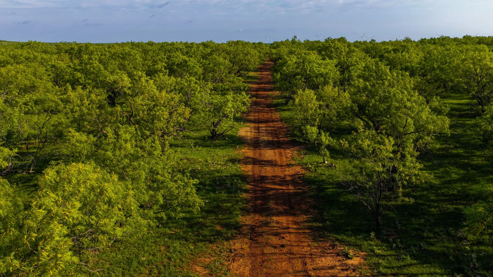 Farm For Sale in Young County , 10000 Fm 209, Graham, Texas 76450, 5 Bedroom, 4 Bathroom, 2 Garage spaces, 7,970 Sqft, built in 2022, Preowned, mls#21251893, Real Estate Agent in Graham, Homes For Sale in Young county, Homes For Sale in Graham, Realtor in Graham Texas, Real Estate Brokerage Independent Realty Texas, Luminita Cordes Realtor