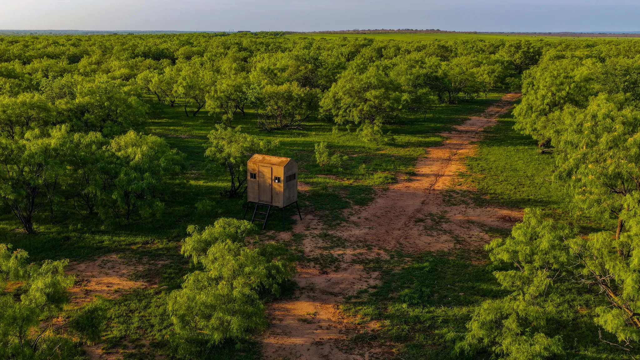 Farm For Sale in Young County , 10000 Fm 209, Graham, Texas 76450, 5 Bedroom, 4 Bathroom, 2 Garage spaces, 7,970 Sqft, built in 2022, Preowned, mls#21251893, Real Estate Agent in Graham, Homes For Sale in Young county, Homes For Sale in Graham, Realtor in Graham Texas, Real Estate Brokerage Independent Realty Texas, Luminita Cordes Realtor
