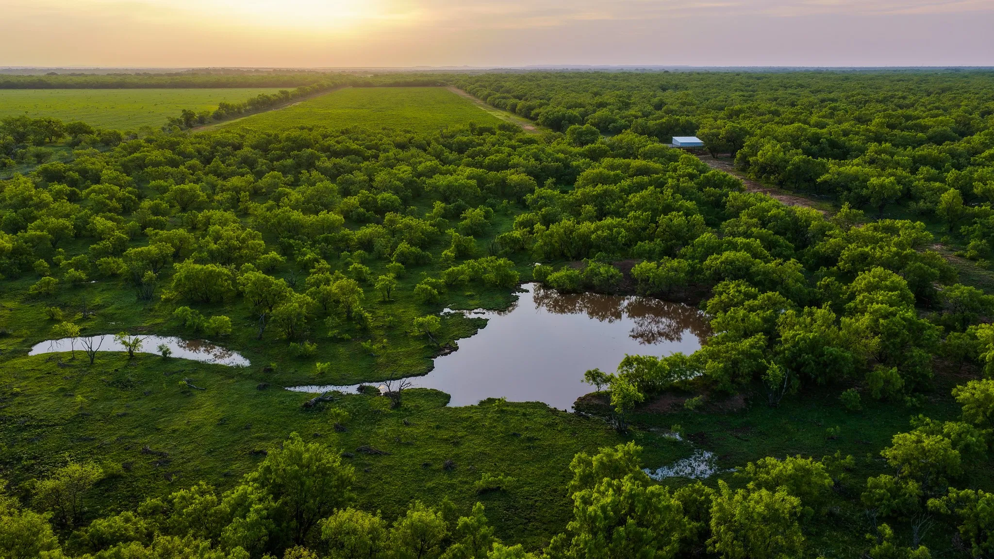 Farm For Sale in Young County , 10000 Fm 209, Graham, Texas 76450, 5 Bedroom, 4 Bathroom, 2 Garage spaces, 7,970 Sqft, built in 2022, Preowned, mls#21251893, Real Estate Agent in Graham, Homes For Sale in Young county, Homes For Sale in Graham, Realtor in Graham Texas, Real Estate Brokerage Independent Realty Texas, Luminita Cordes Realtor