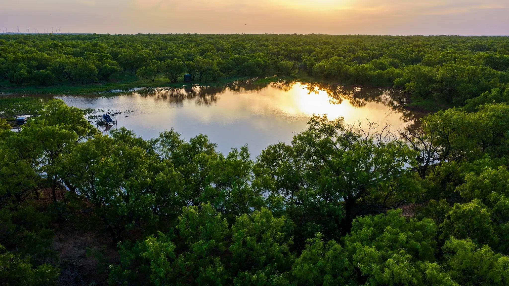Farm For Sale in Young County , 10000 Fm 209, Graham, Texas 76450, 5 Bedroom, 4 Bathroom, 2 Garage spaces, 7,970 Sqft, built in 2022, Preowned, mls#21251893, Real Estate Agent in Graham, Homes For Sale in Young county, Homes For Sale in Graham, Realtor in Graham Texas, Real Estate Brokerage Independent Realty Texas, Luminita Cordes Realtor