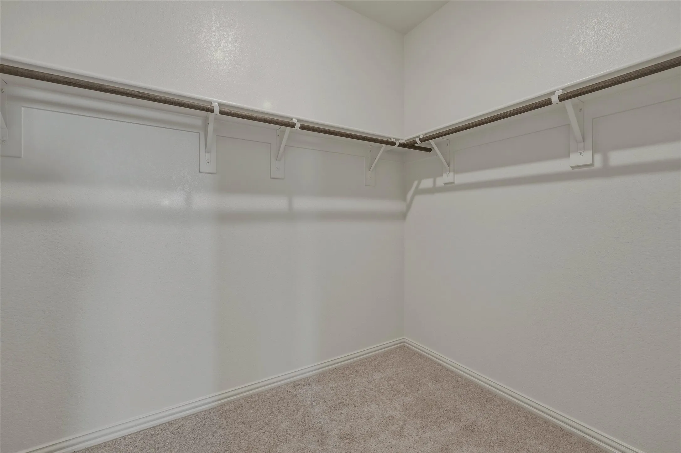 Walk-in closet featuring an L-shaped hanging rod system and neutral carpeting