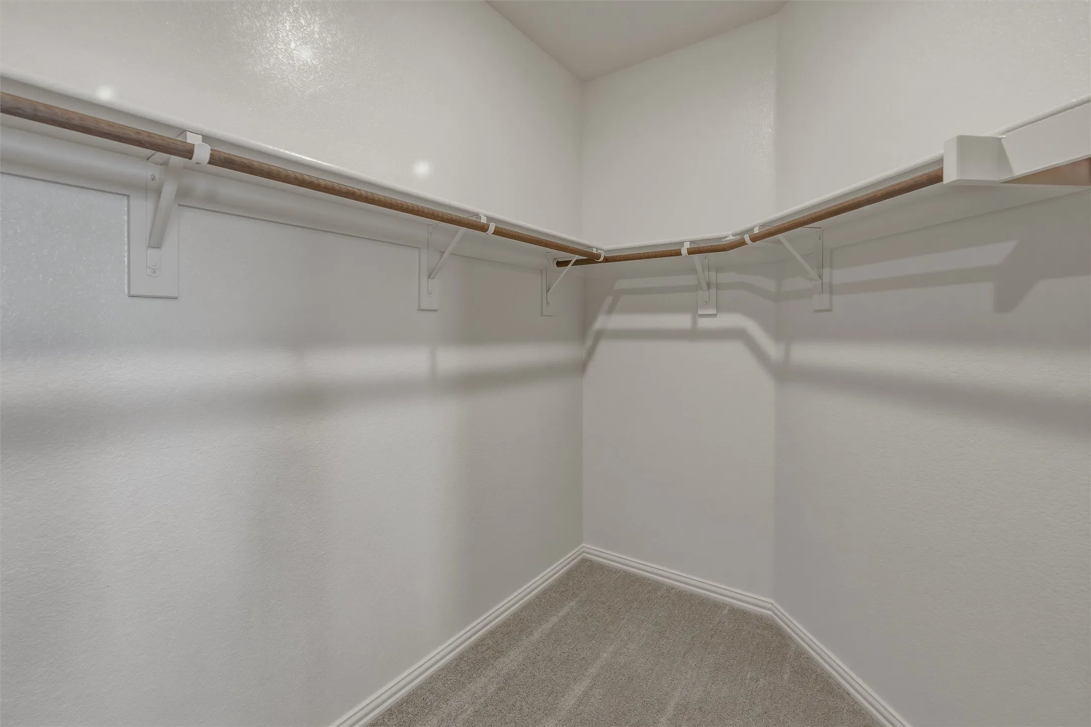 Walk-in closet with wrap-around shelving and hanging rods, neutral wall finish, and coordinating carpet flooring